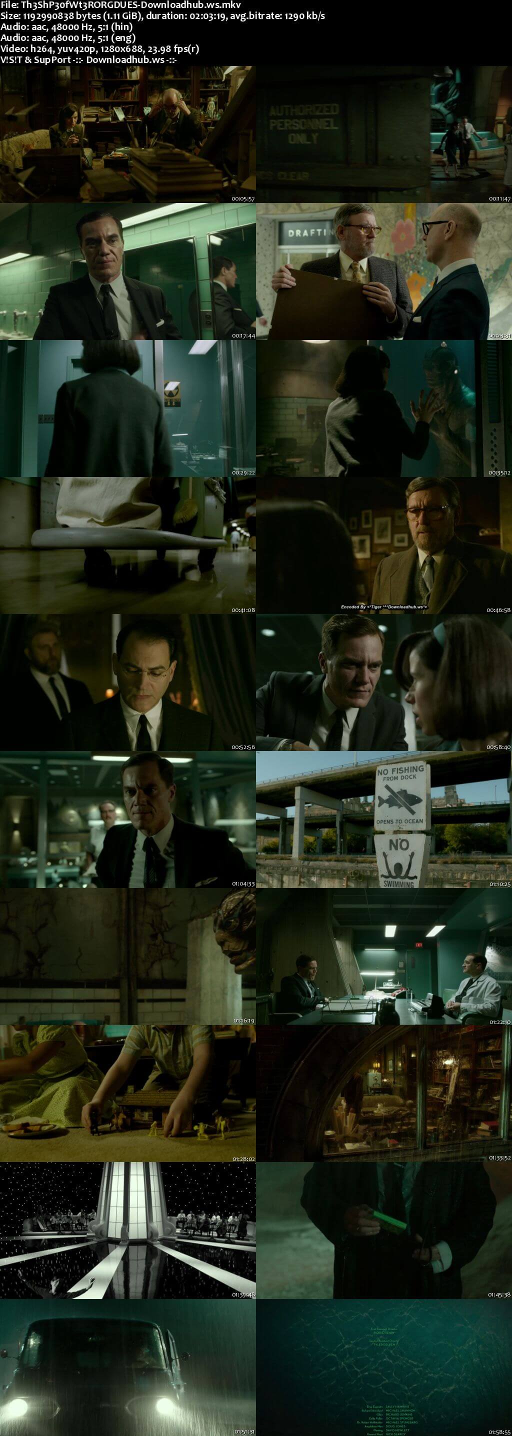 The Shape of Water 2017 Hindi Dual Audio 720p BluRay Free Download