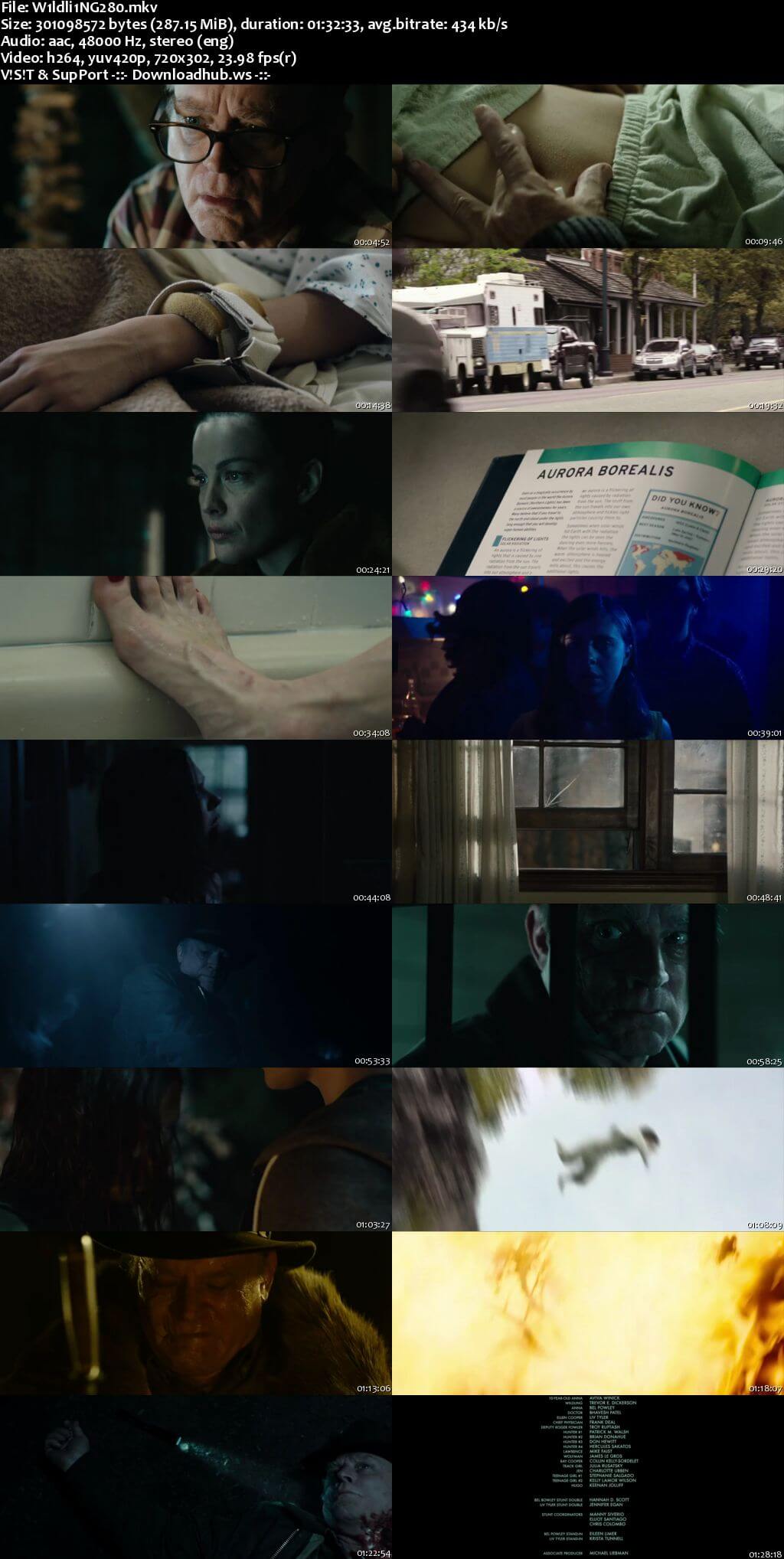 Wildling 2018 English 480p WEBRip ESubs