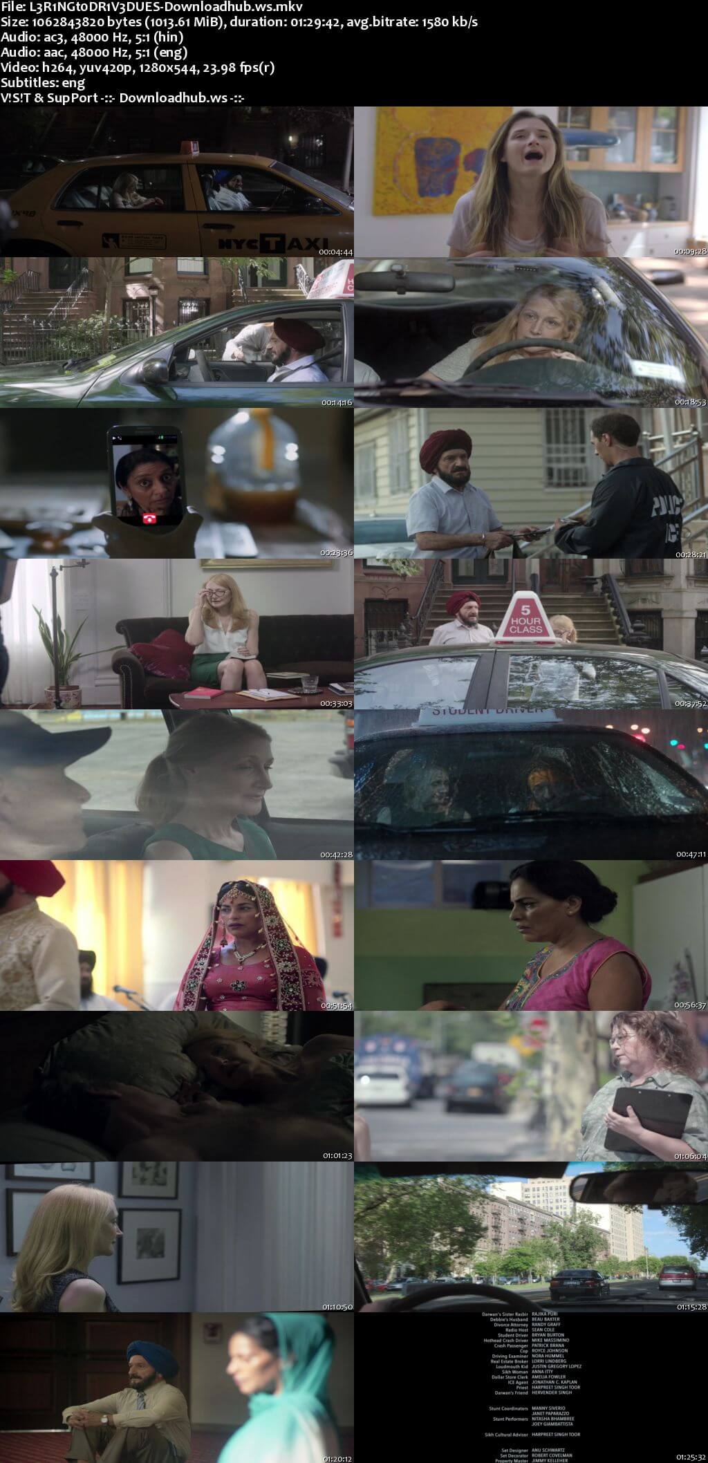 Learning to Drive 2014 Hindi Dual Audio 720p BluRay Free Download