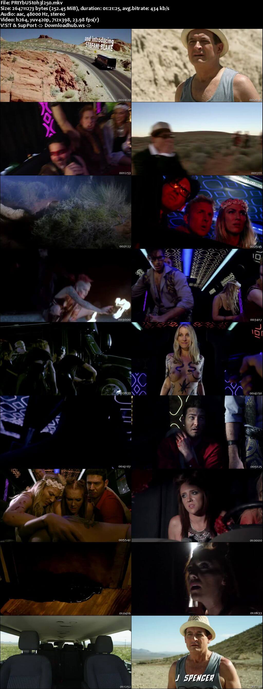 Party Bus to Hell 2017 English 480p Web-DL Party Bus to Hell 2017 English 480p Web-DL