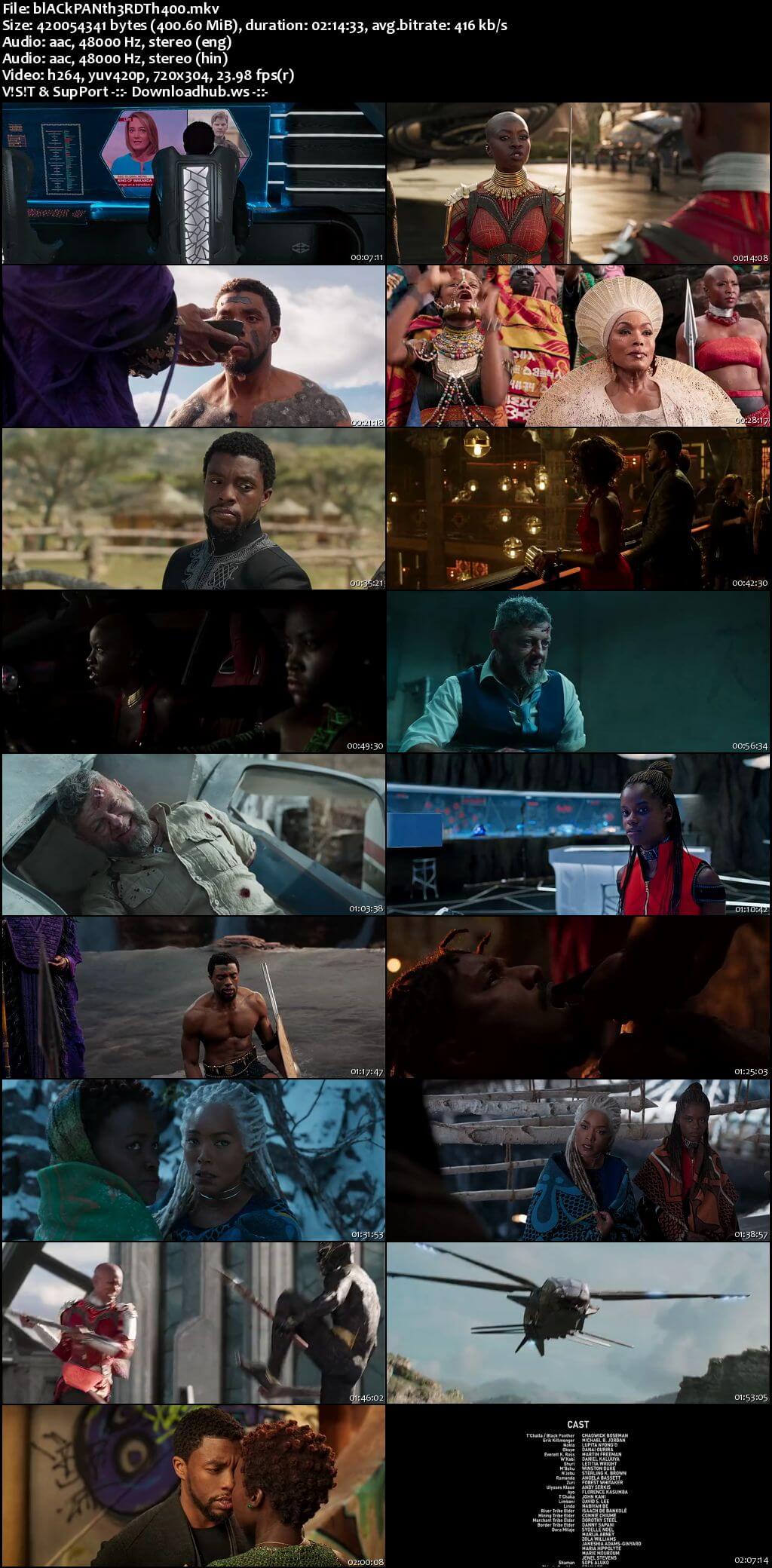 Black Panther 2018 Hindi Dual Audio 480p BluRay Free Download