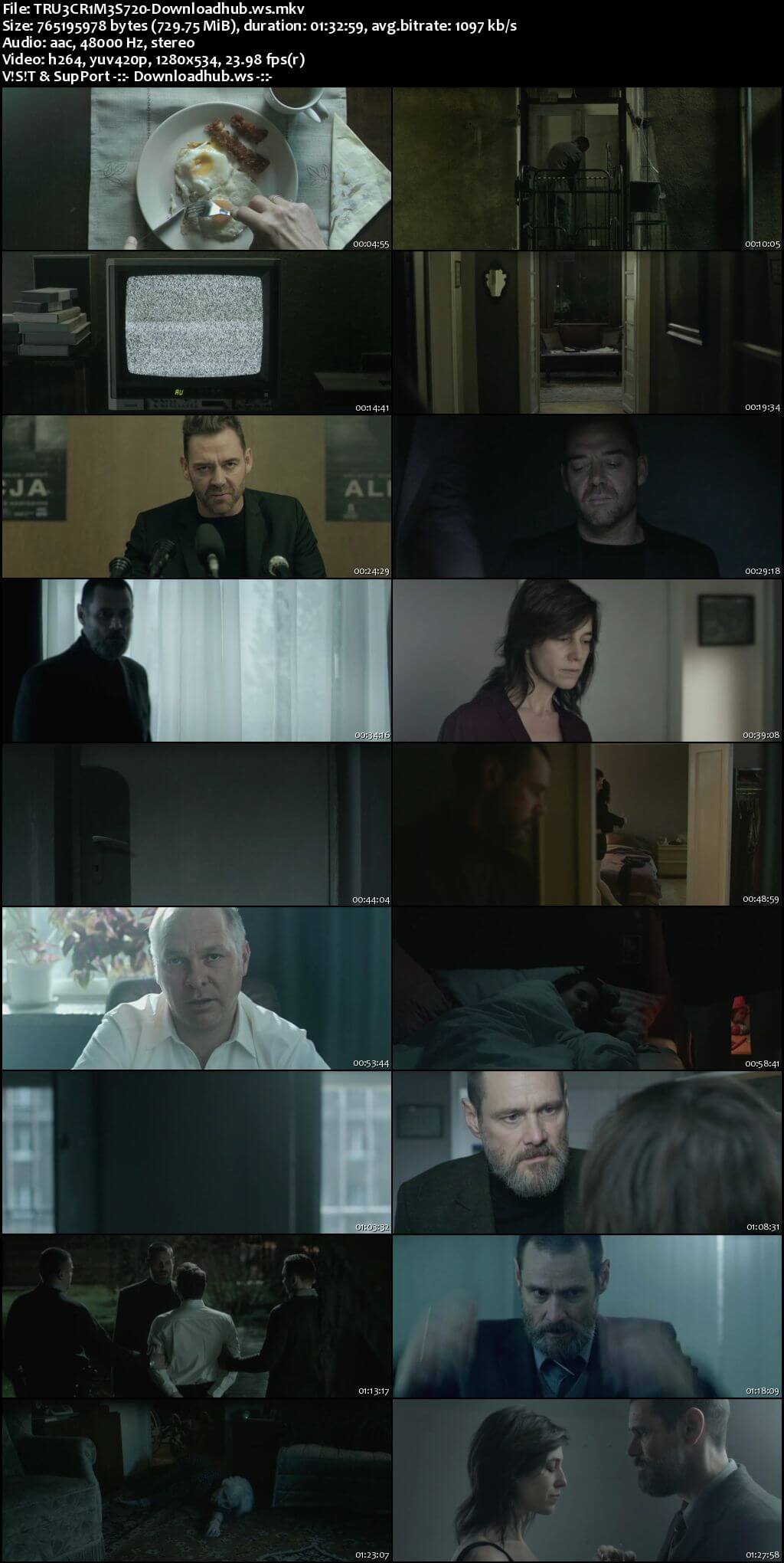 True Crimes 2016 English 720p WEBRip 700MB ESubs