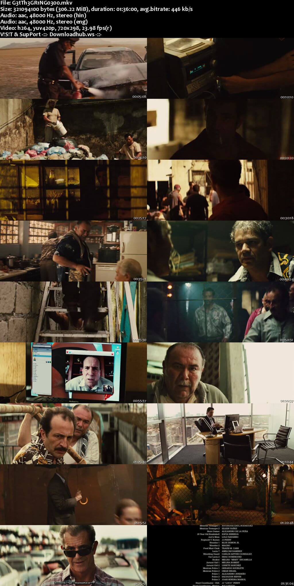 Get the Gringo 2012 Hindi Dual Audio 480p BluRay Free Download