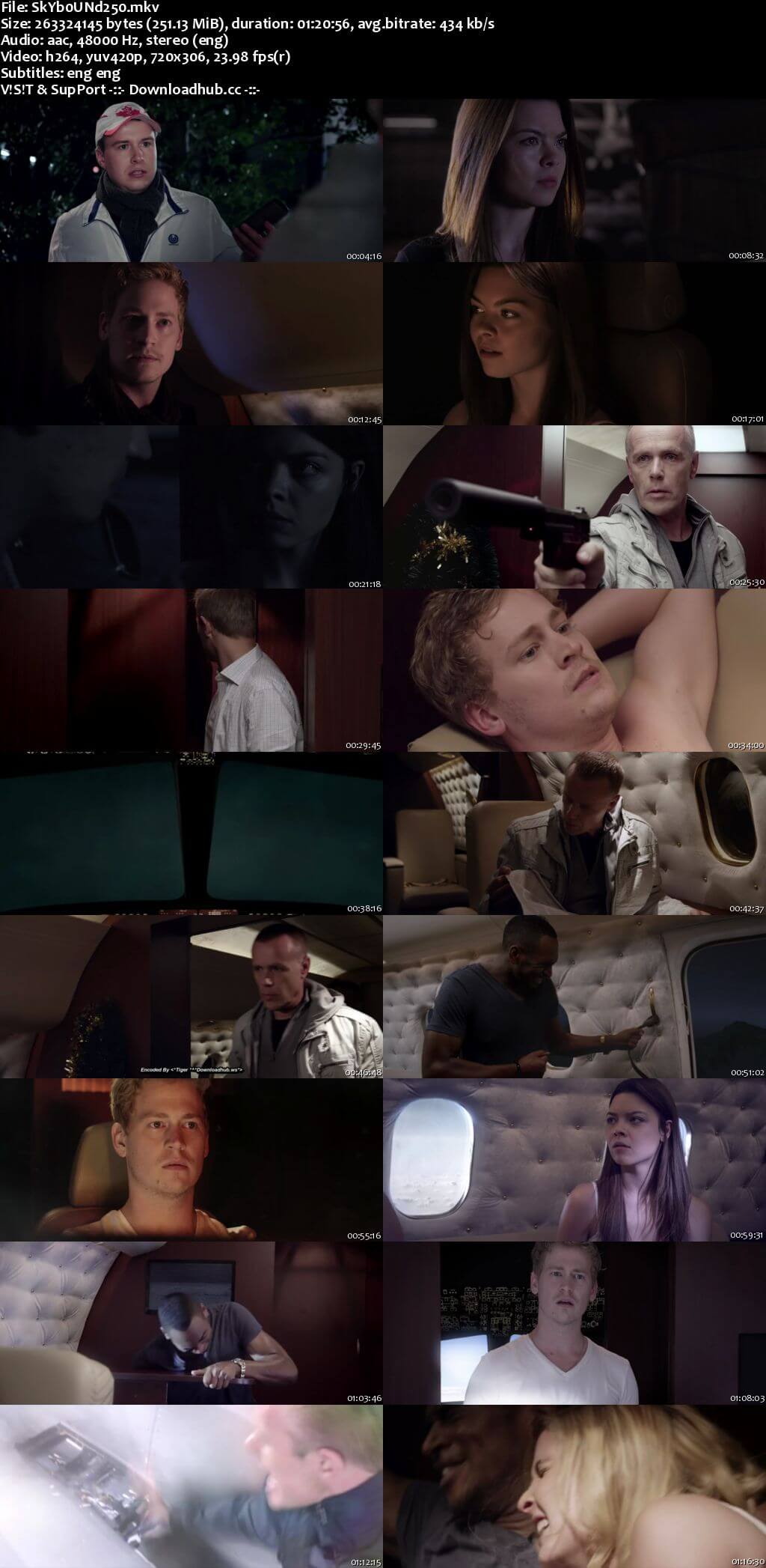 Skybound 2017 English 480p WEBRip ESubs Skybound 2017 English 480p WEBRip ESubs