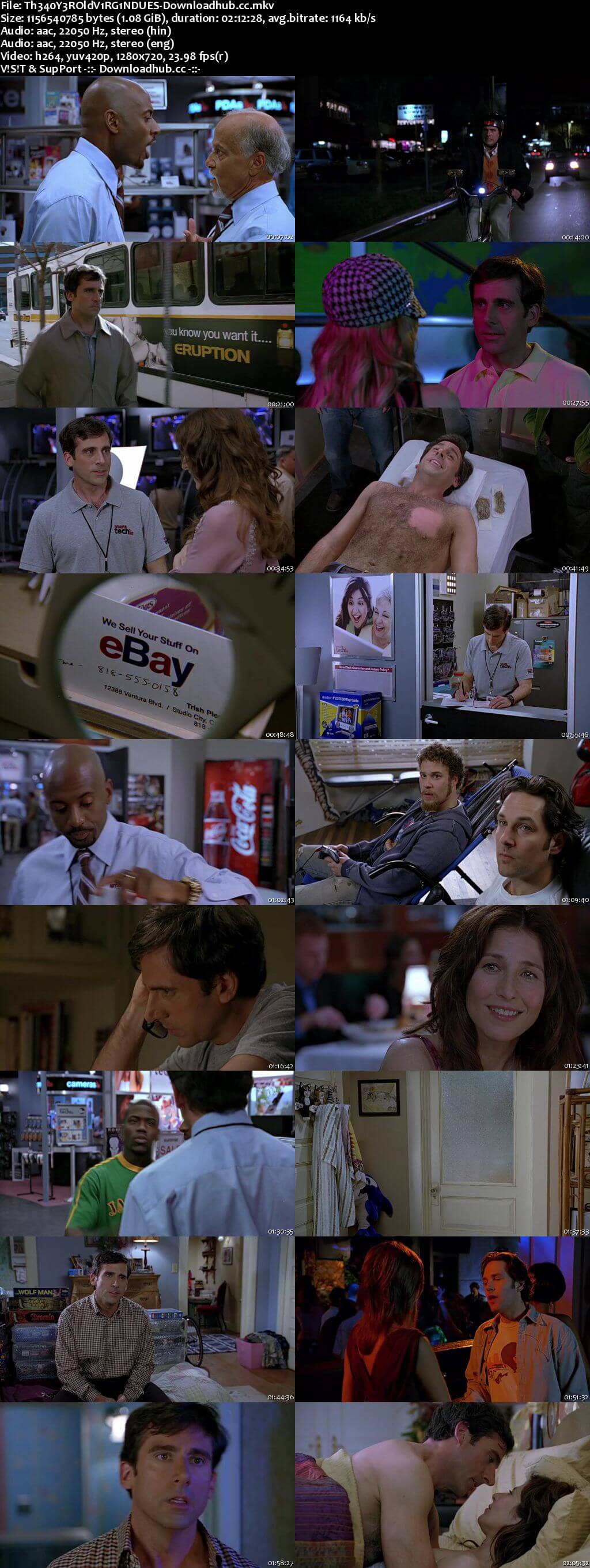 The 40-Year-Old Virgin 2005 Hindi Dual Audio 720p BluRay Free Download