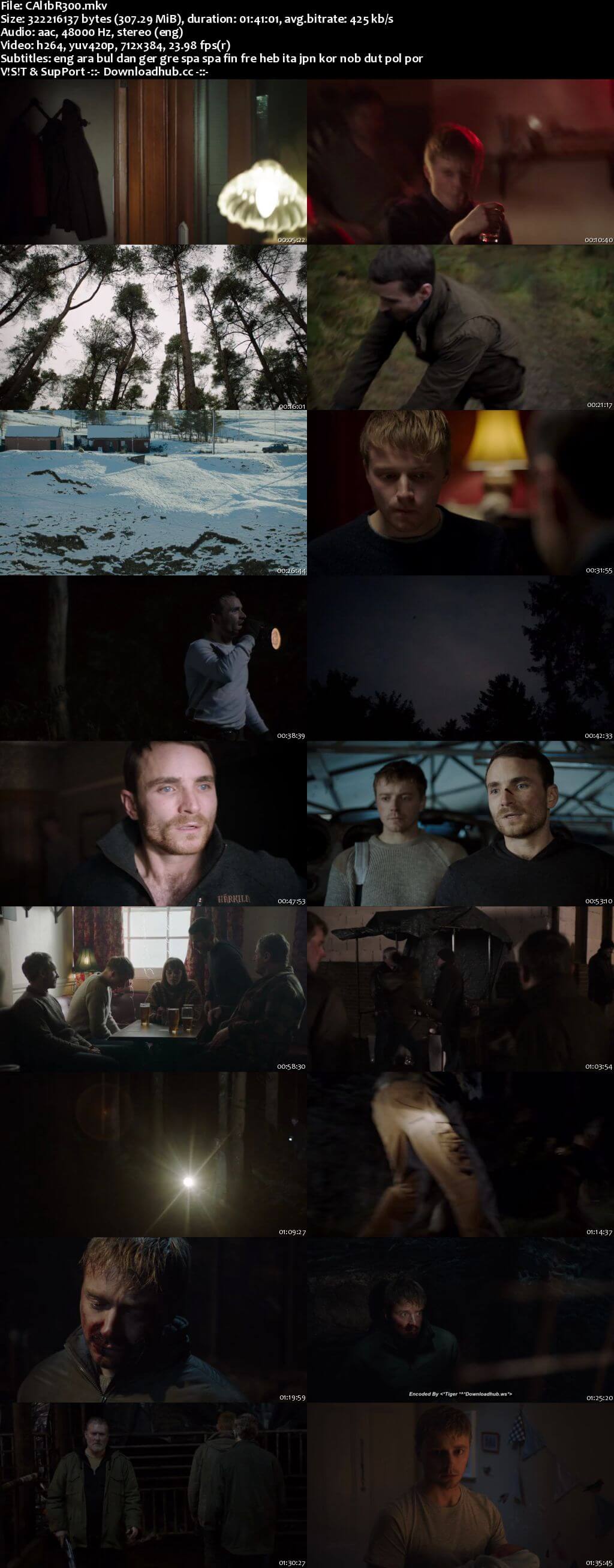 Calibre 2018 English 300MB WEBRip 480p MSubs