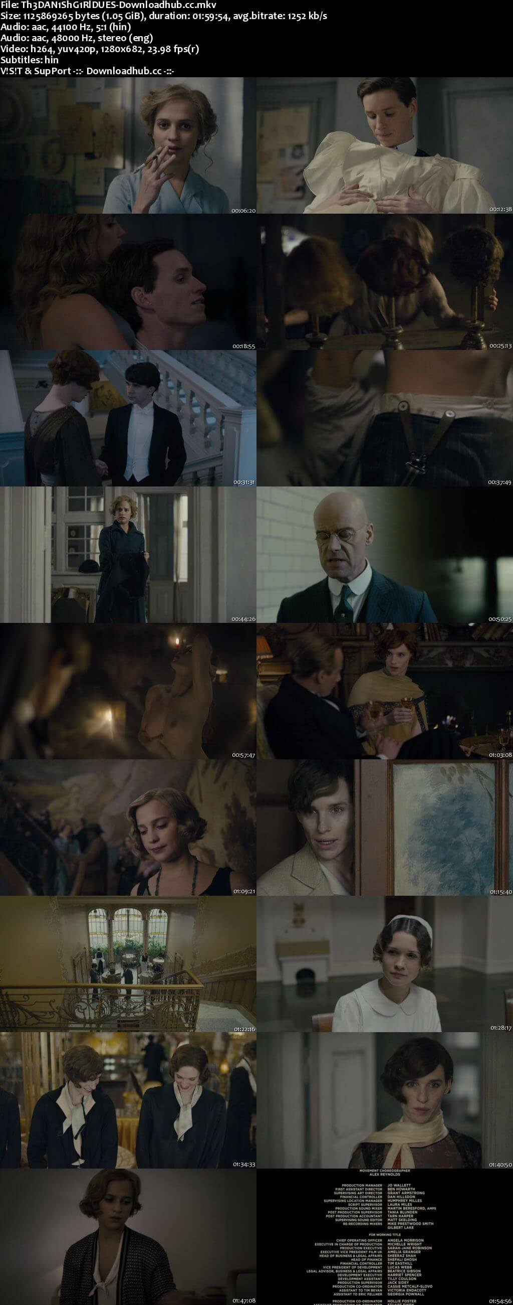 The Danish Girl 2015 Dual Audio 720p BluRay ORG [Hindi - English] ESubs