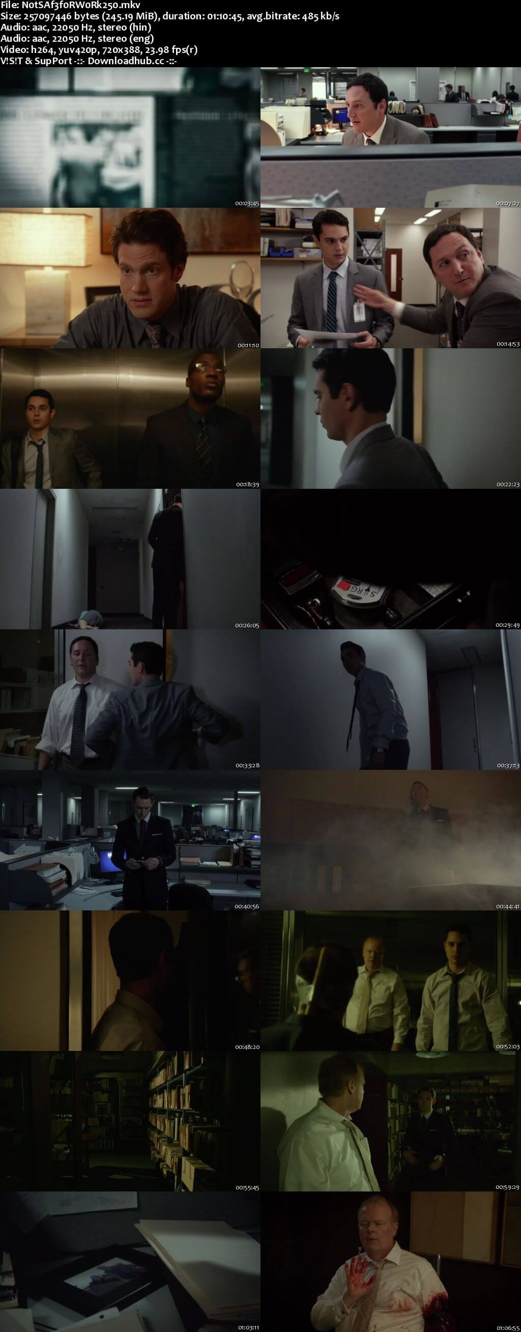 Not Safe for Work 2014 Hindi Dual Audio 250MB UNRATED BluRay 480p