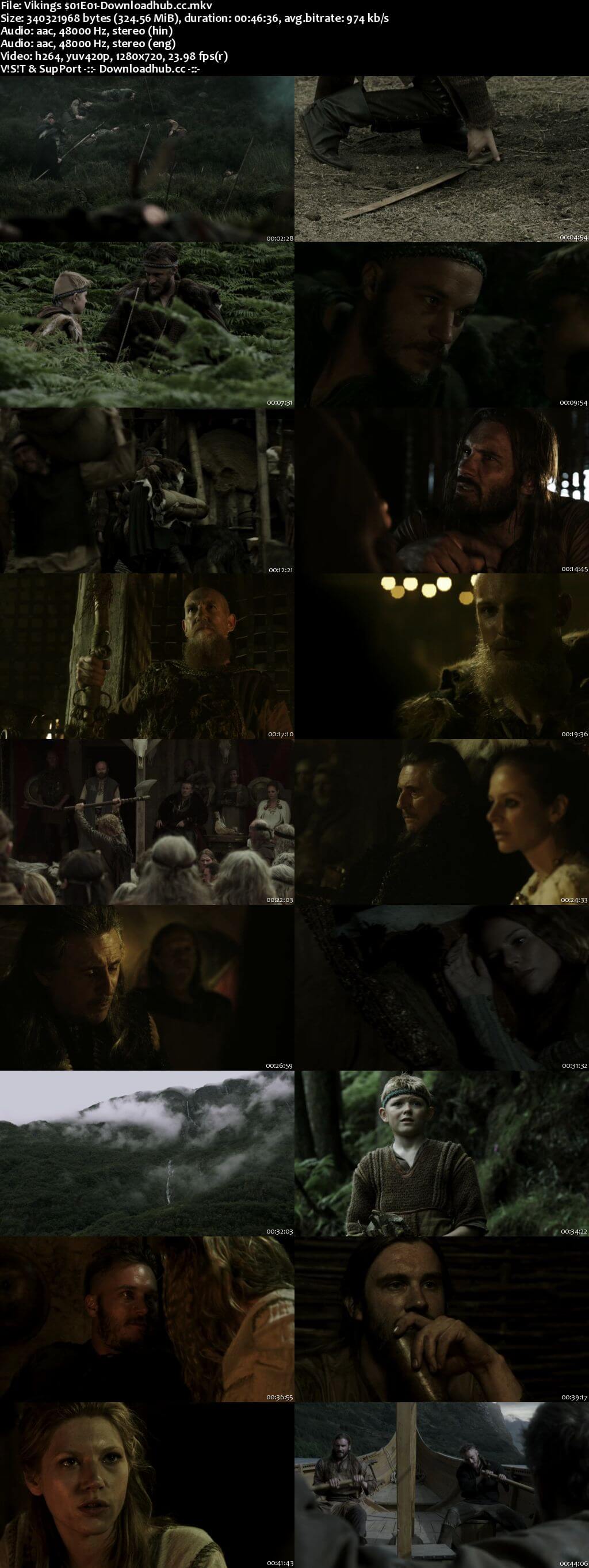 Vikings Season 01 Hindi Dual Audio 720p BluRay Download