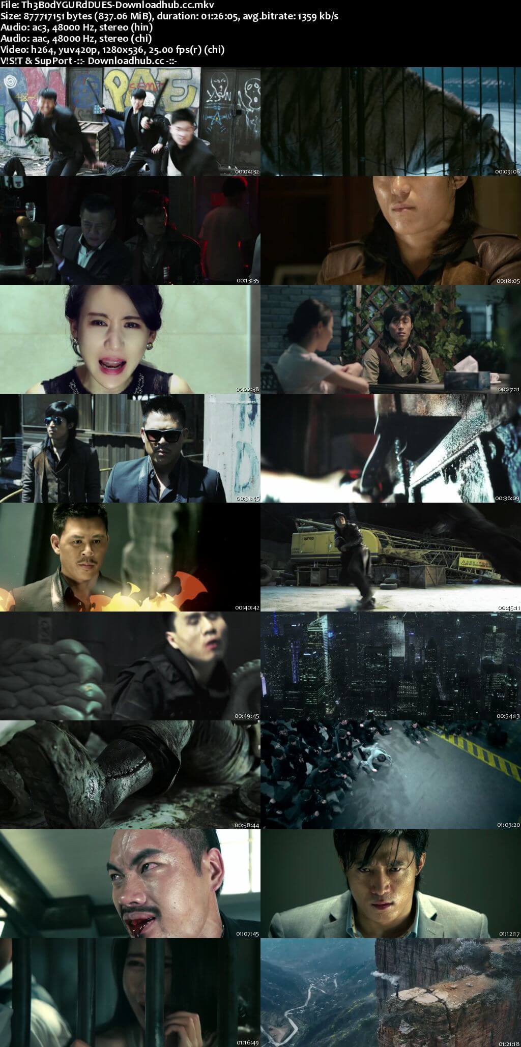 The Bodyguard 2016 Dual Audio 720p BluRay [Hindi - Chinese] ESubs