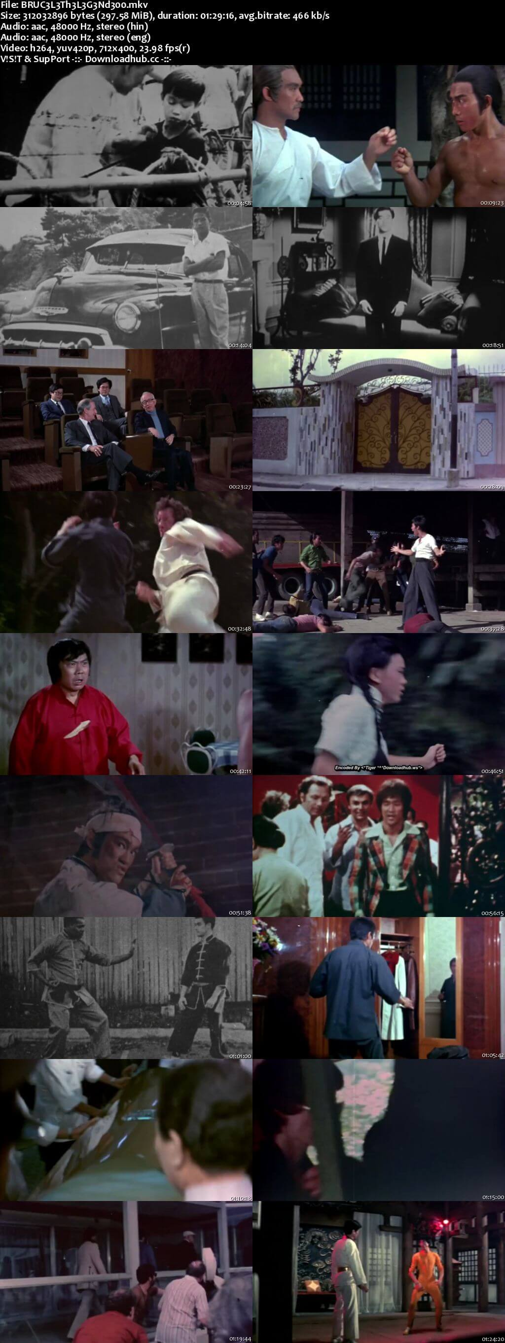 Bruce Lee the Legend 1984 Hindi Dual Audio 300MB HDTV 480p