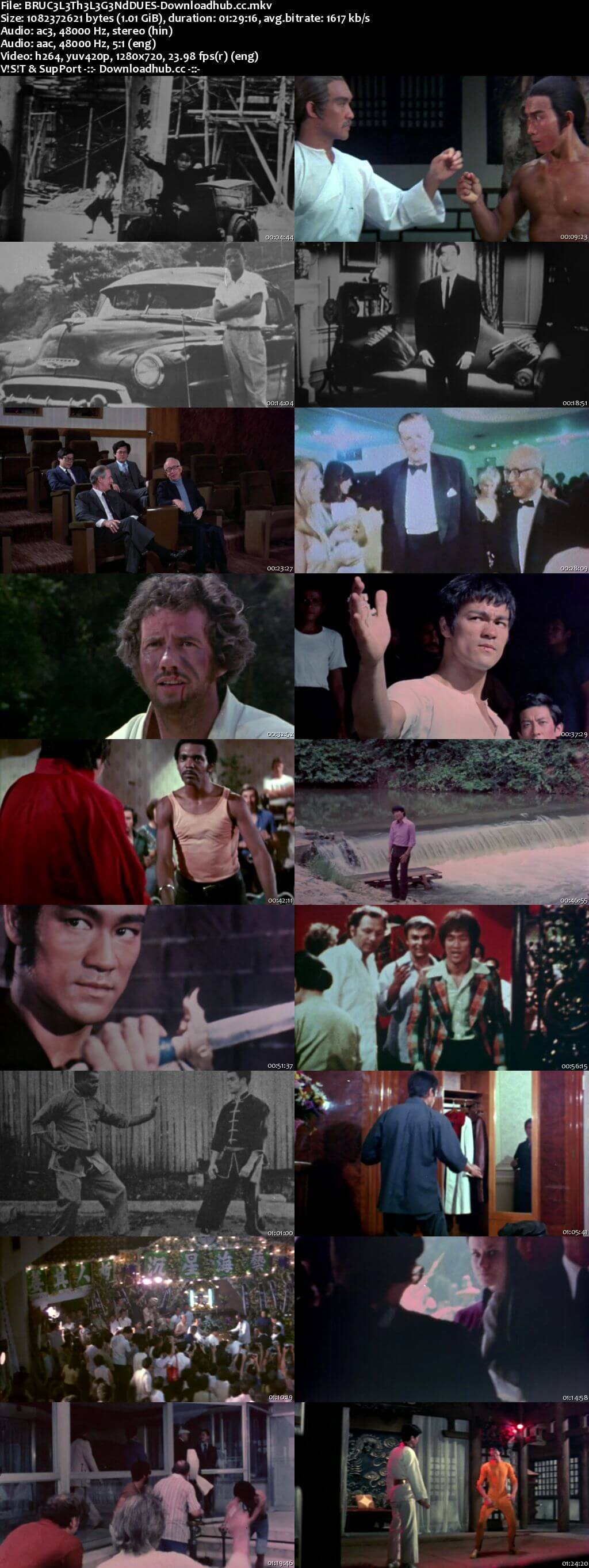 Bruce Lee the Legend 1984 Dual Audio 720p HDTV [Hindi - English]