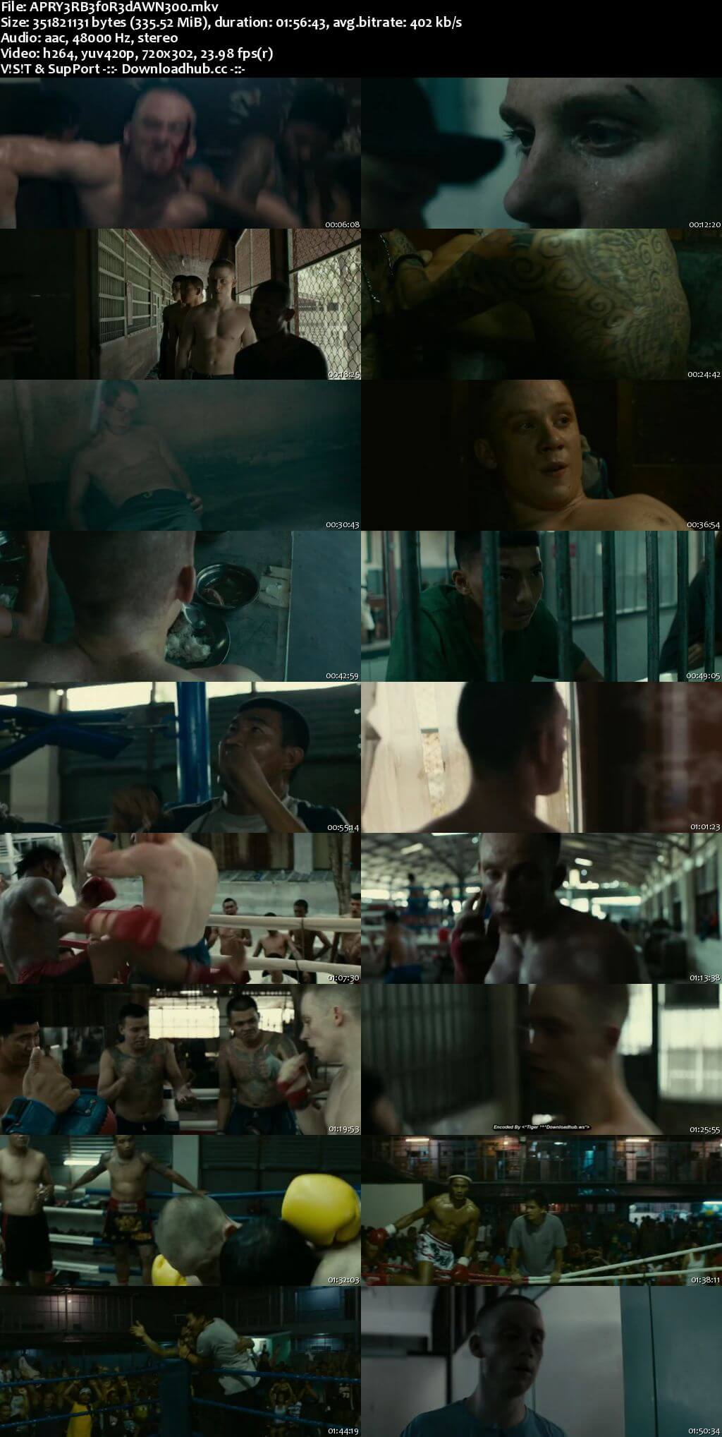 A Prayer Before Dawn 2017 English 300MB Web-DL 480p