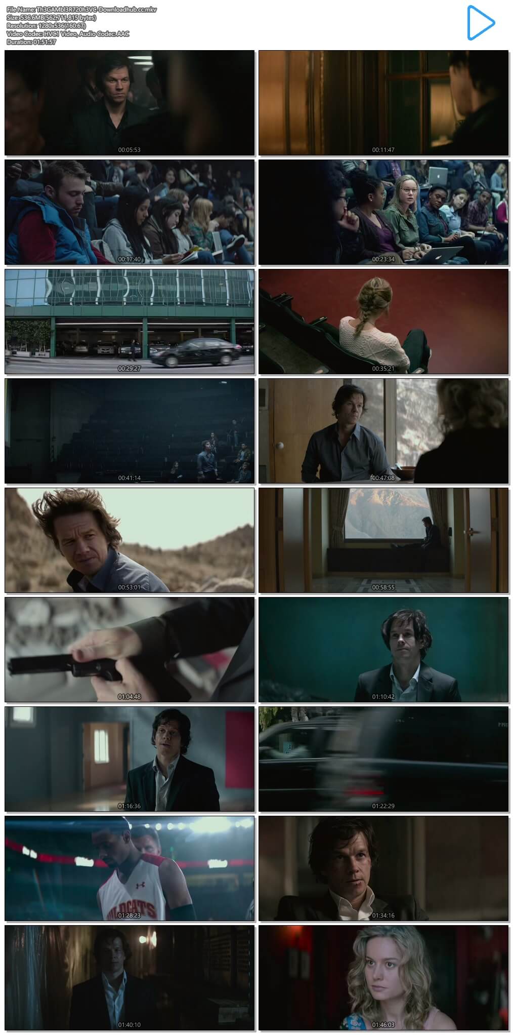 The Gambler 2014 Hindi Dual Audio 500MB BluRay 720p ESubs HEVC