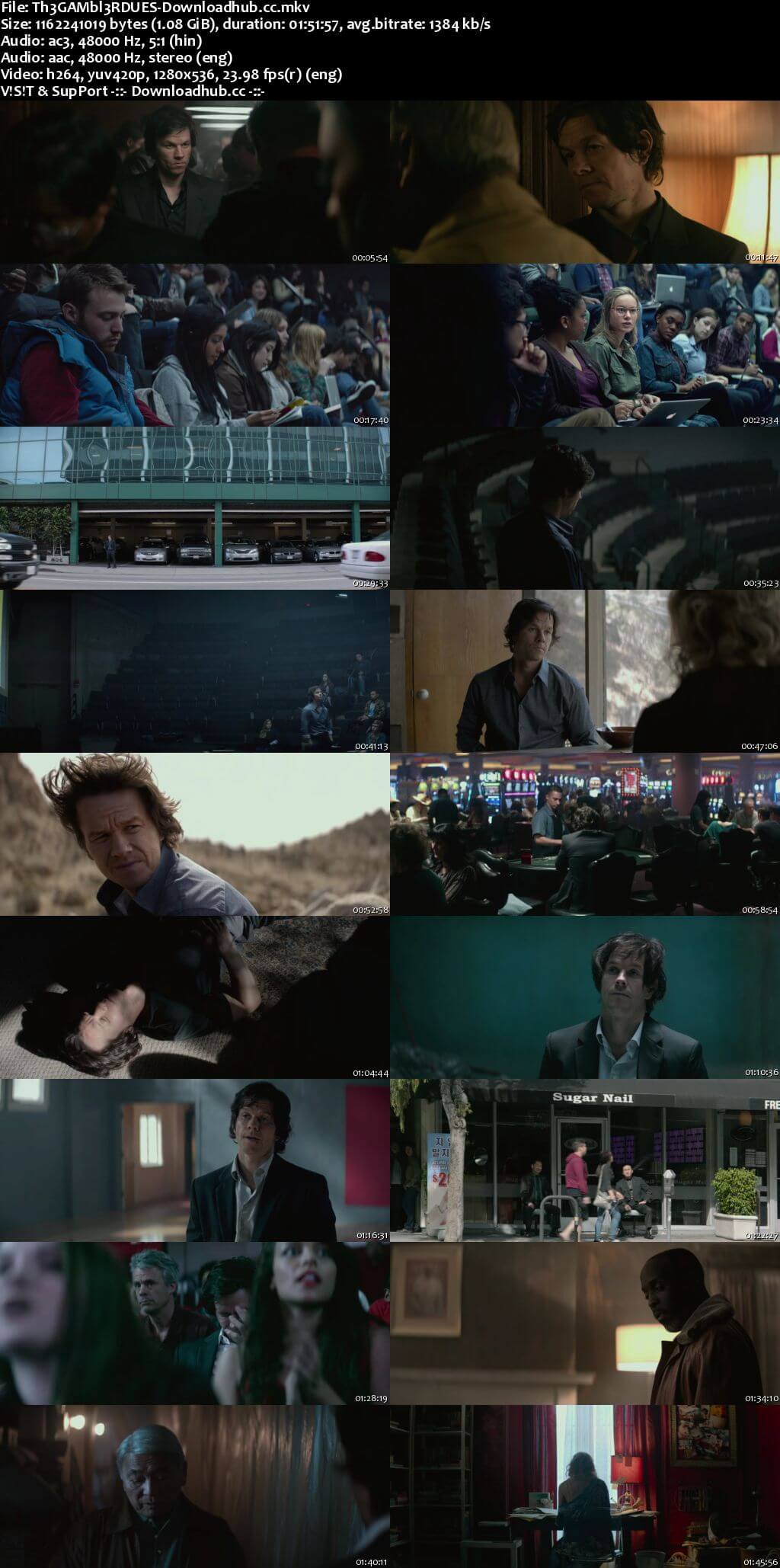 The Gambler 2014 Dual Audio 720p BluRay [Hindi - English] ESubs