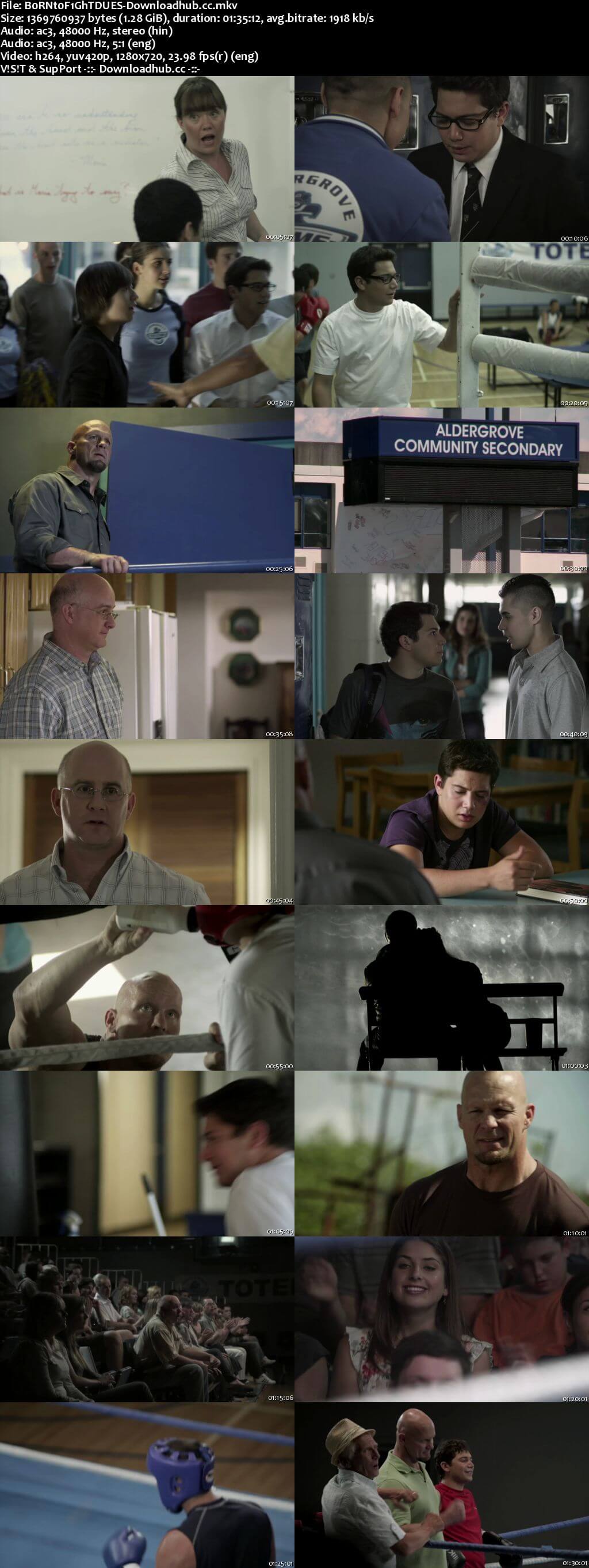 Born to Fight 2011 Dual Audio 720p BluRay [Hindi - English] ESubs