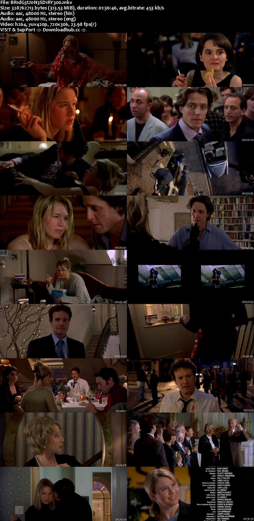 Bridget Joness Diary 2001 Hindi Dual Audio 300MB BluRay 480p ESubs