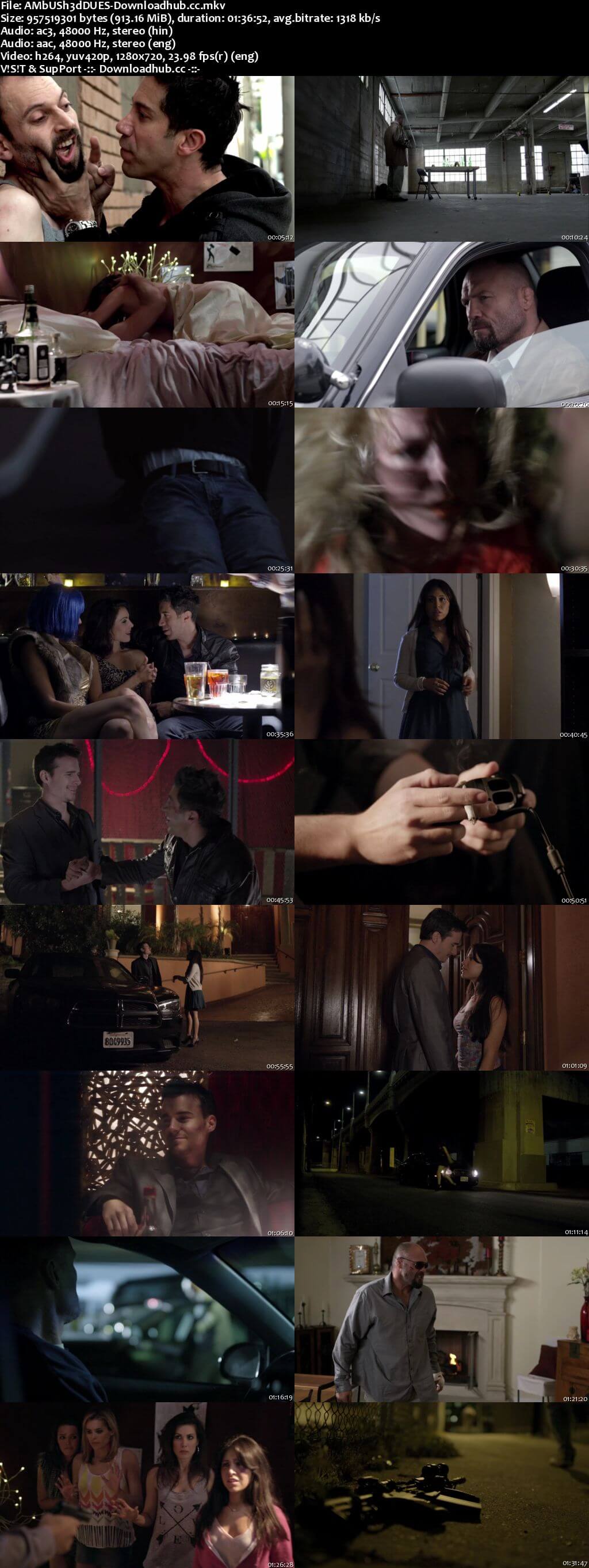 Ambushed 2013 Dual Audio 720p UNRATED BluRay [Hindi - English] ESubs