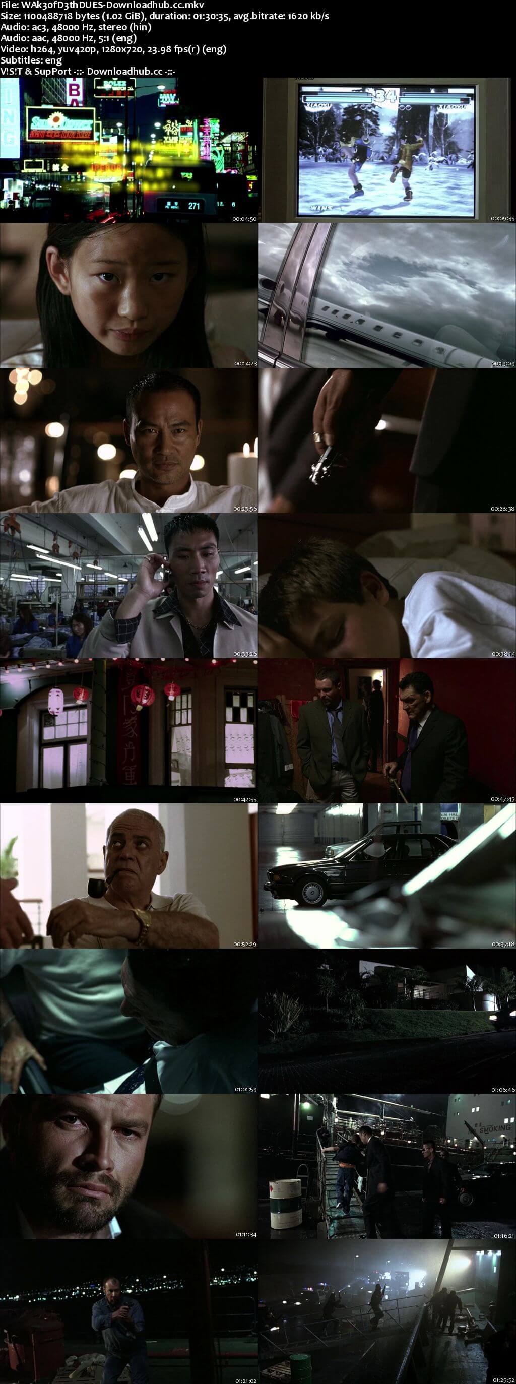 Wake of Death 2004 Dual Audio 720p BluRay [Hindi - English] ESubs