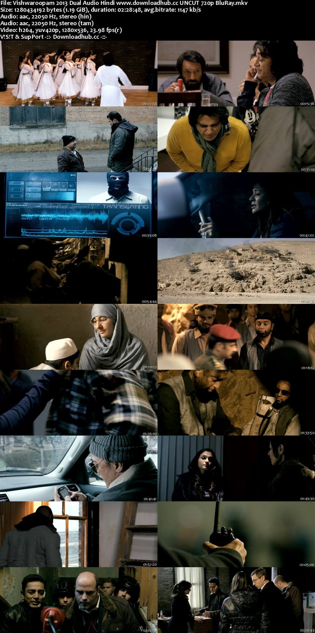 Vishwaroopam 2013 Hindi Dual Audio 720p UNCUT BluRay