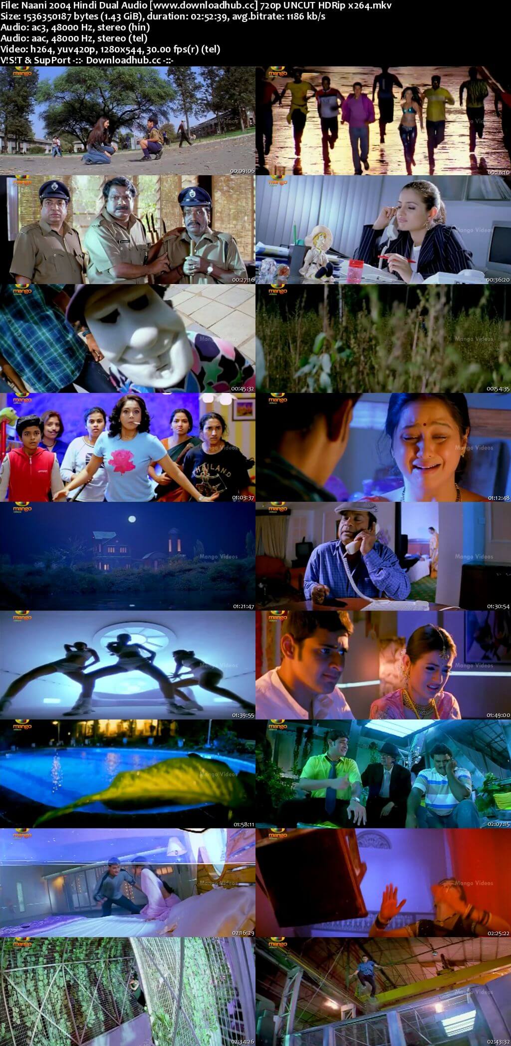 Naani 2004 Hindi Dual Audio 720p UNCUT HDRip