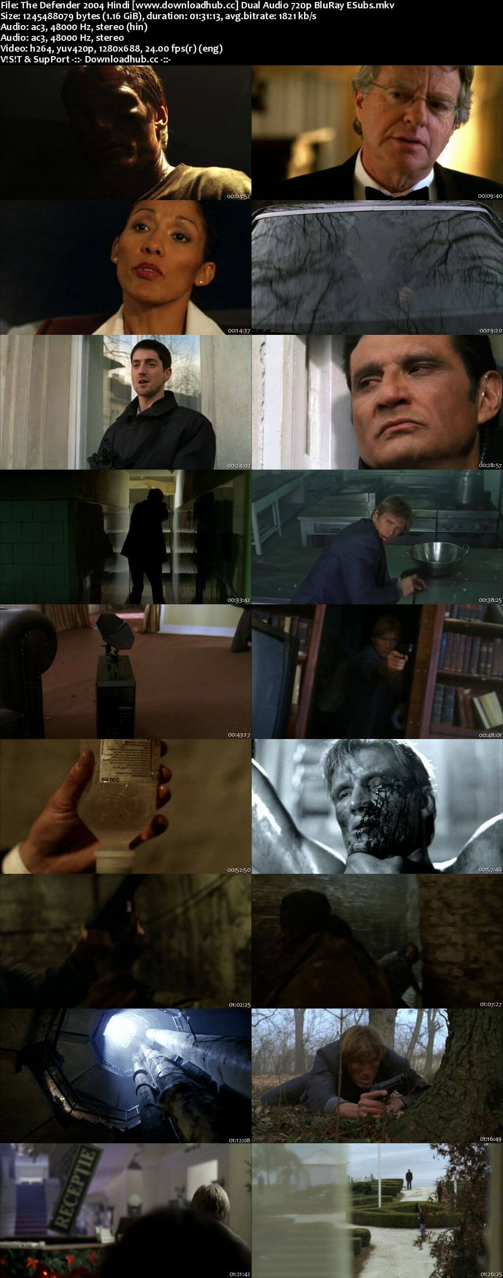 The Defender 2004 Hindi Dual Audio 720p BluRay ESubs
