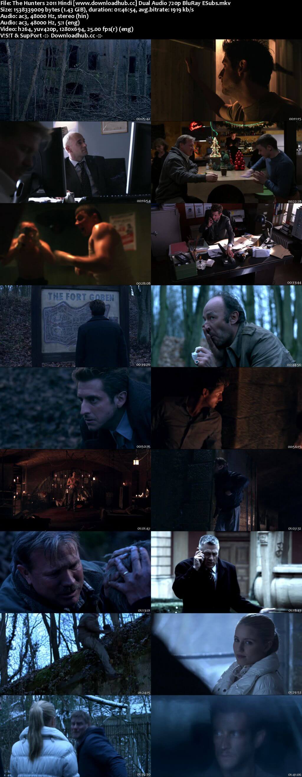 The Hunters 2011 Hindi Dual Audio 720p BluRay ESubs The Hunters 2011 Hindi Dual Audio 720p BluRay ESubs
