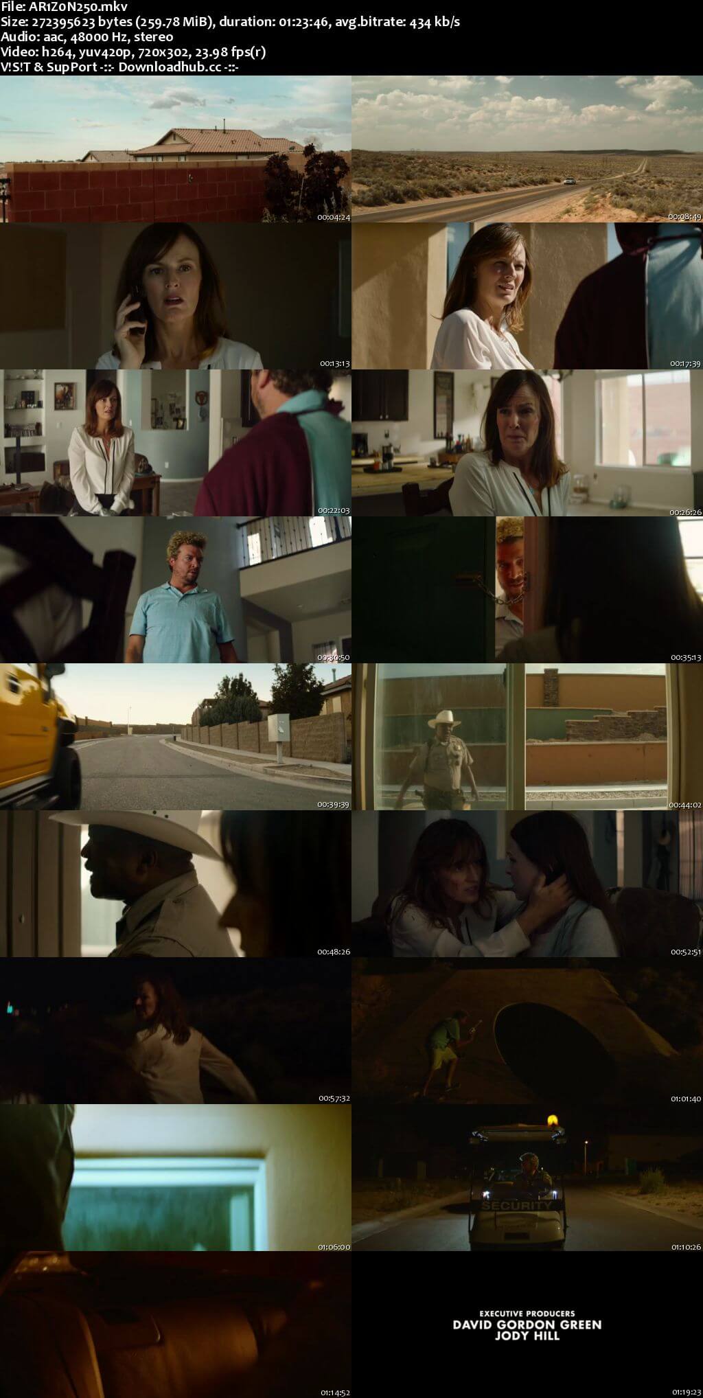 Arizona 2018 English 250MB Web-DL 480p ESubs