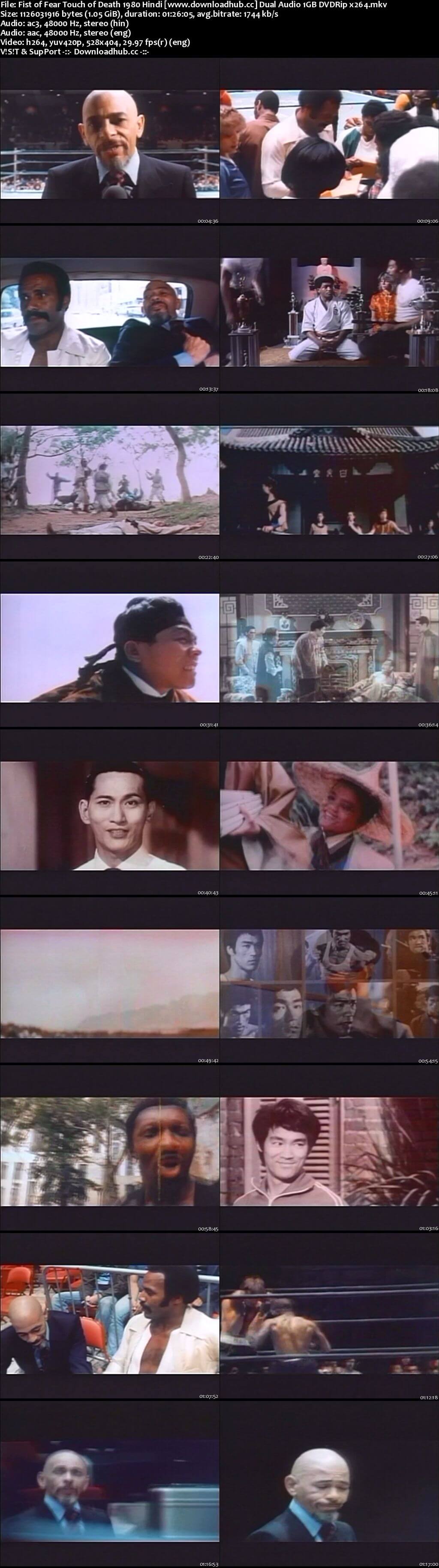 Fist of Fear Touch of Death 1980 Hindi Dual Audio 1GB DVDRip x264