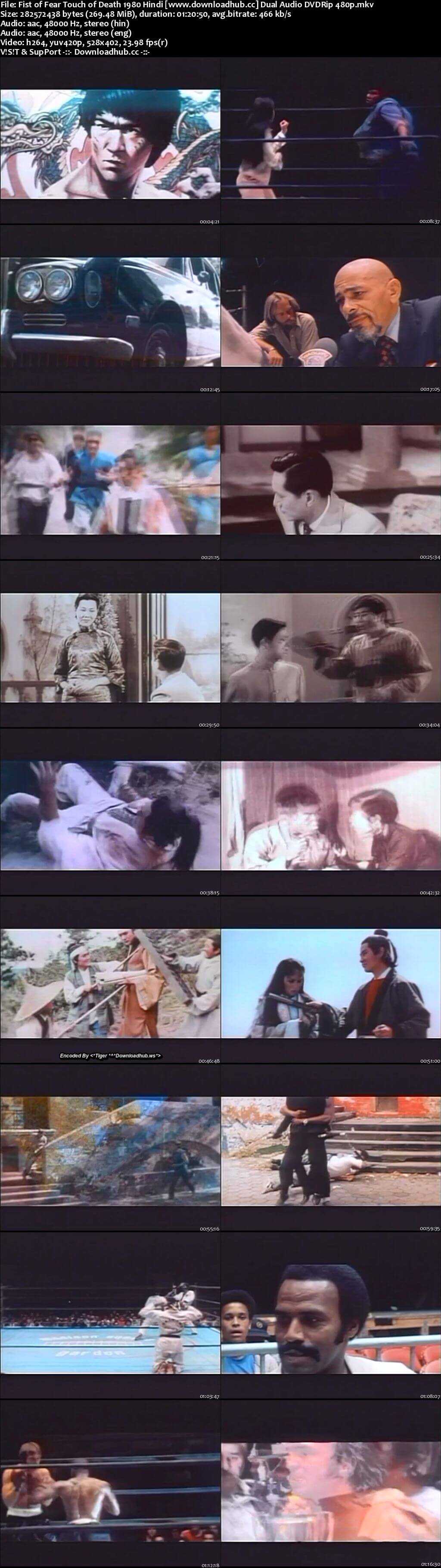 Fist of Fear Touch of Death 1980 Hindi Dual Audio 270MB DVDRip 480p