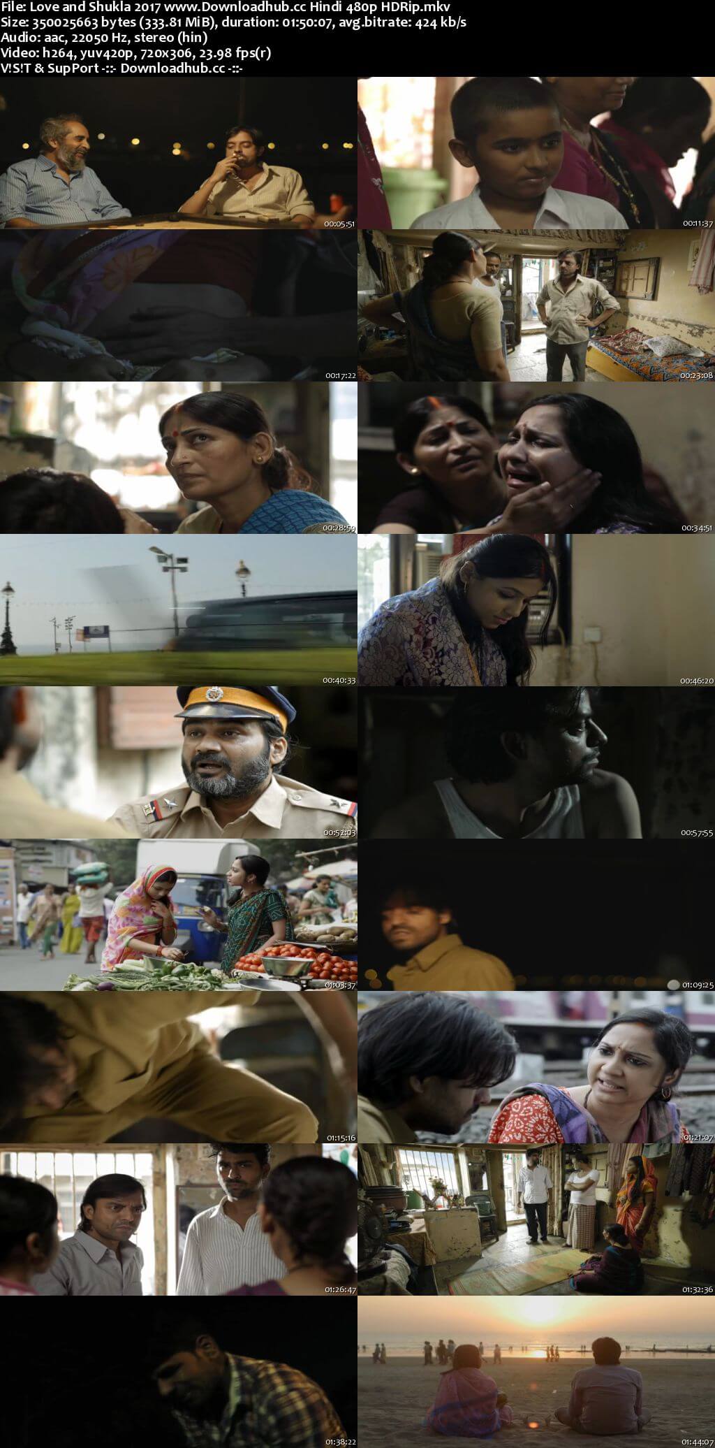 Love and Shukla 2017 Hindi 300MB HDRip 480p ESubs Love and Shukla 2017 Hindi 300MB HDRip 480p ESubs