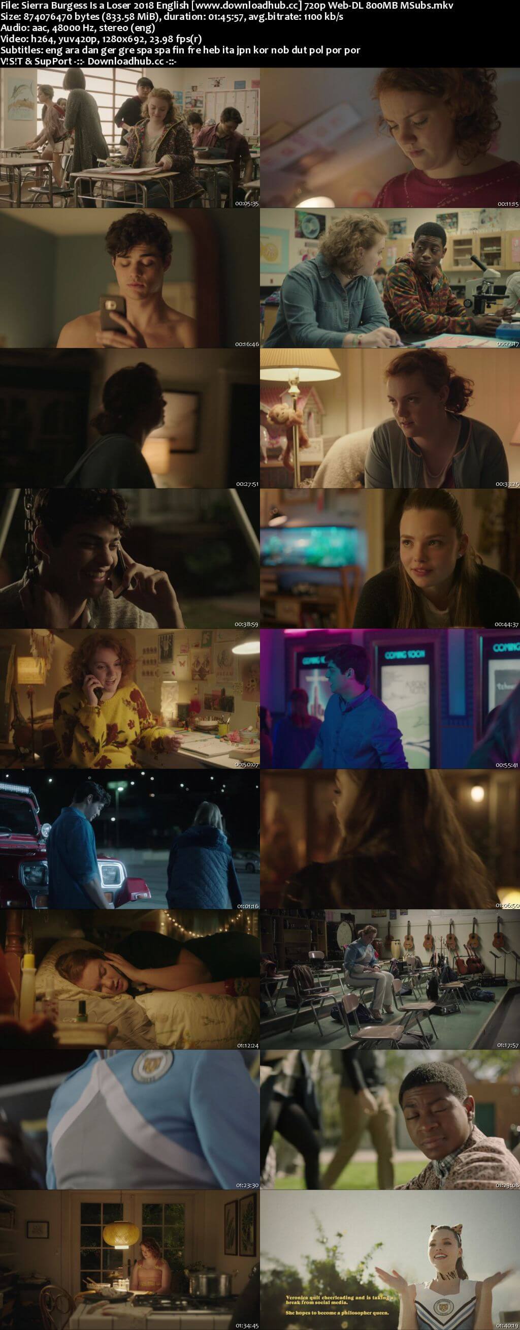 Sierra Burgess Is a Loser 2018 English 720p Web-DL 800MB MSubs