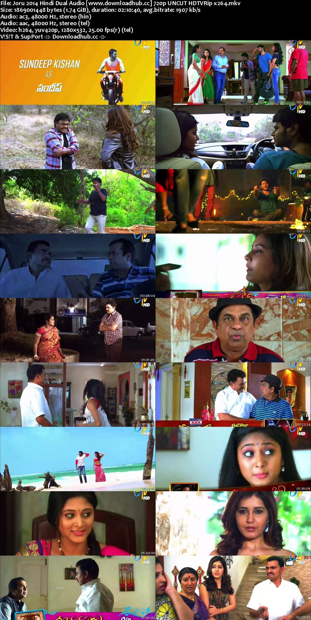 Joru 2014 Hindi Dual Audio 720p UNCUT HDTVRip x264 Joru 2014 Hindi Dual Audio 720p UNCUT HDTVRip x264