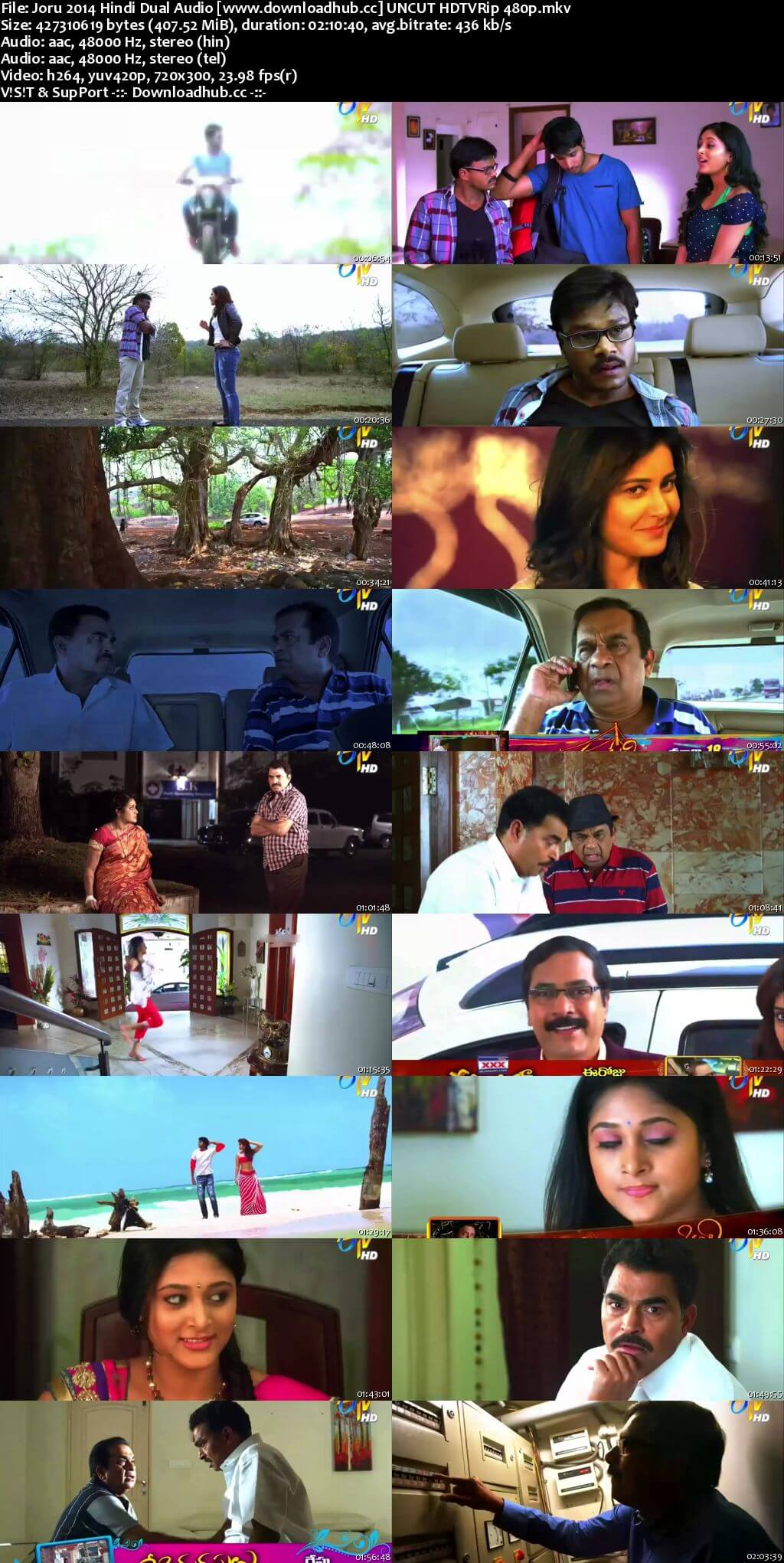 Joru 2014 Hindi Dual Audio 400MB UNCUT HDTVRip 480p Joru 2014 Hindi Dual Audio 400MB UNCUT HDTVRip 480p