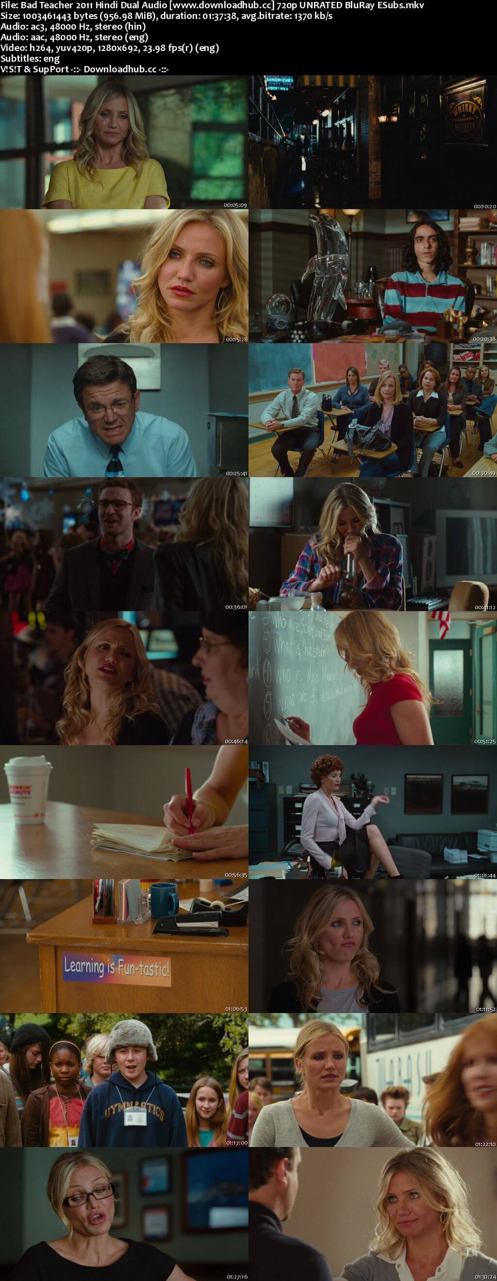 Bad Teacher 2011 Hindi Dual Audio 720p UNRATED BluRay ESubs