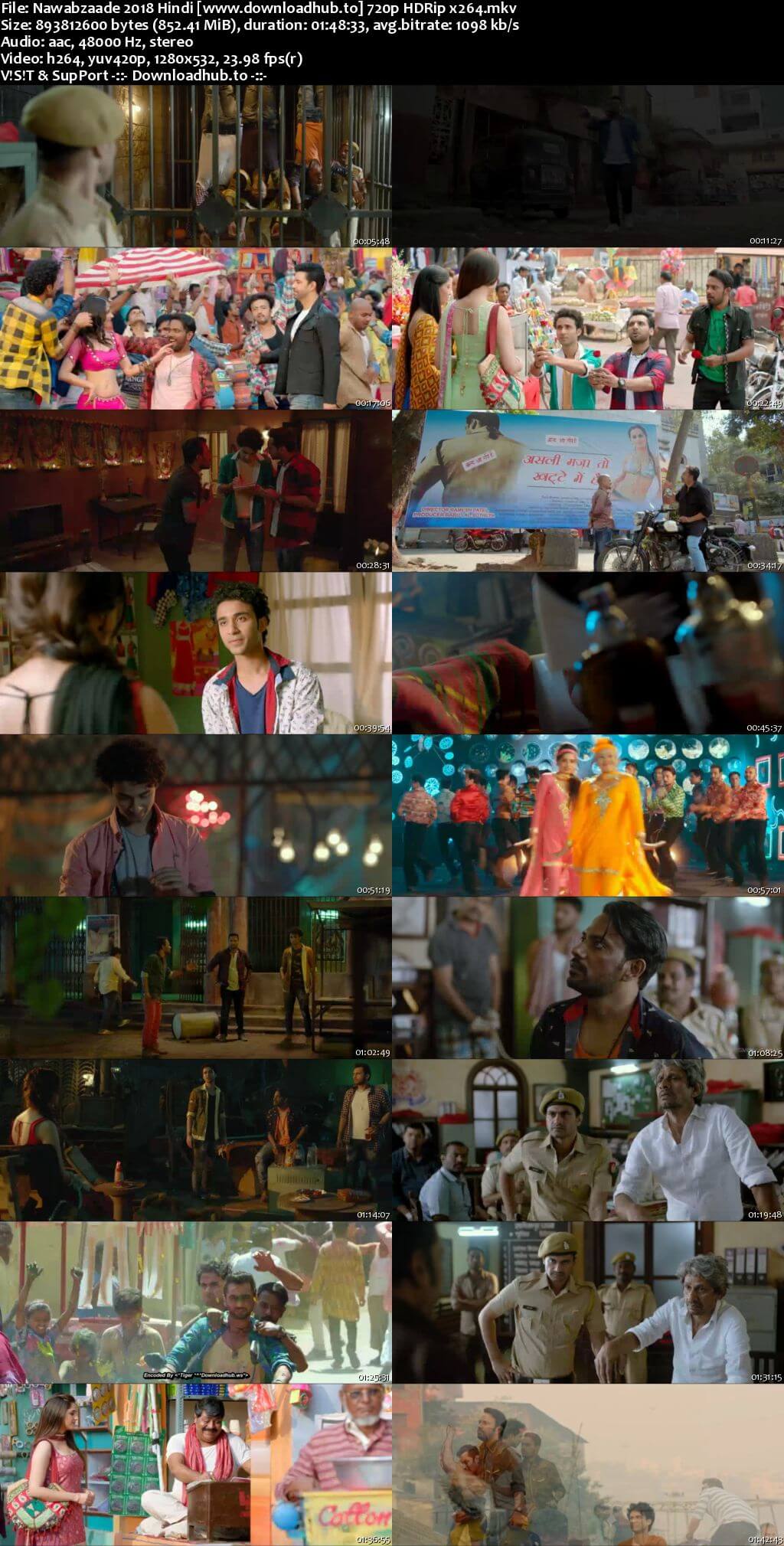 Nawabzaade 2018 Hindi 720p HDRip