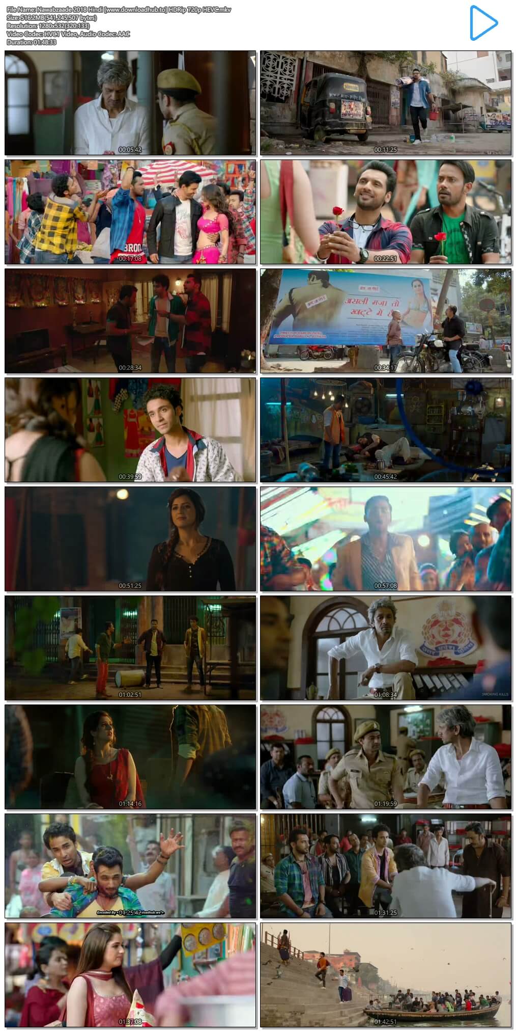 Nawabzaade 2018 Hindi 500MB HDRip 720p HEVC