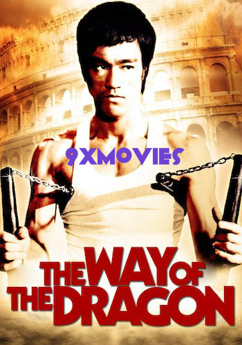 The-Way-of-the-Dragon-1972-Hindi.jpg