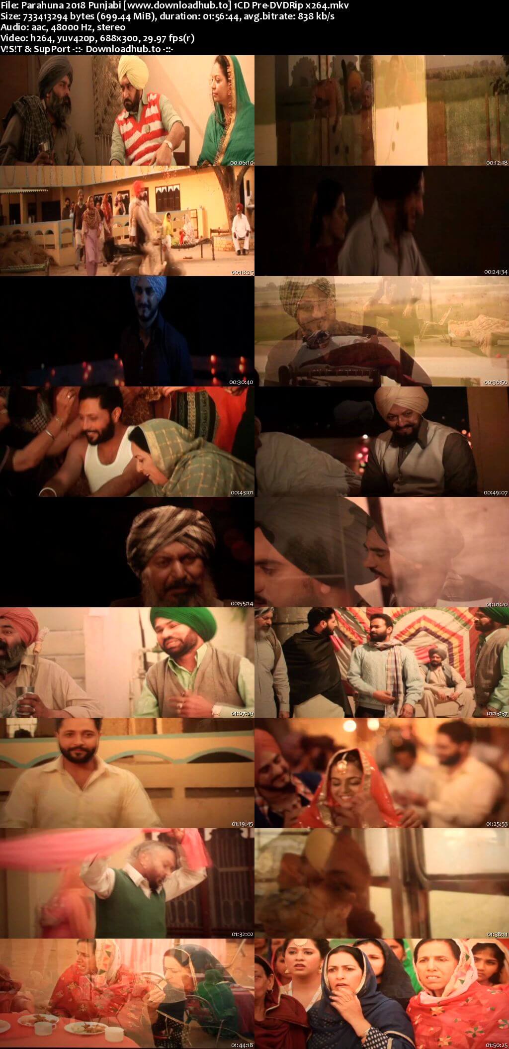 Parahuna 2018 Punjabi 700MB Pre-DVDRip x264
