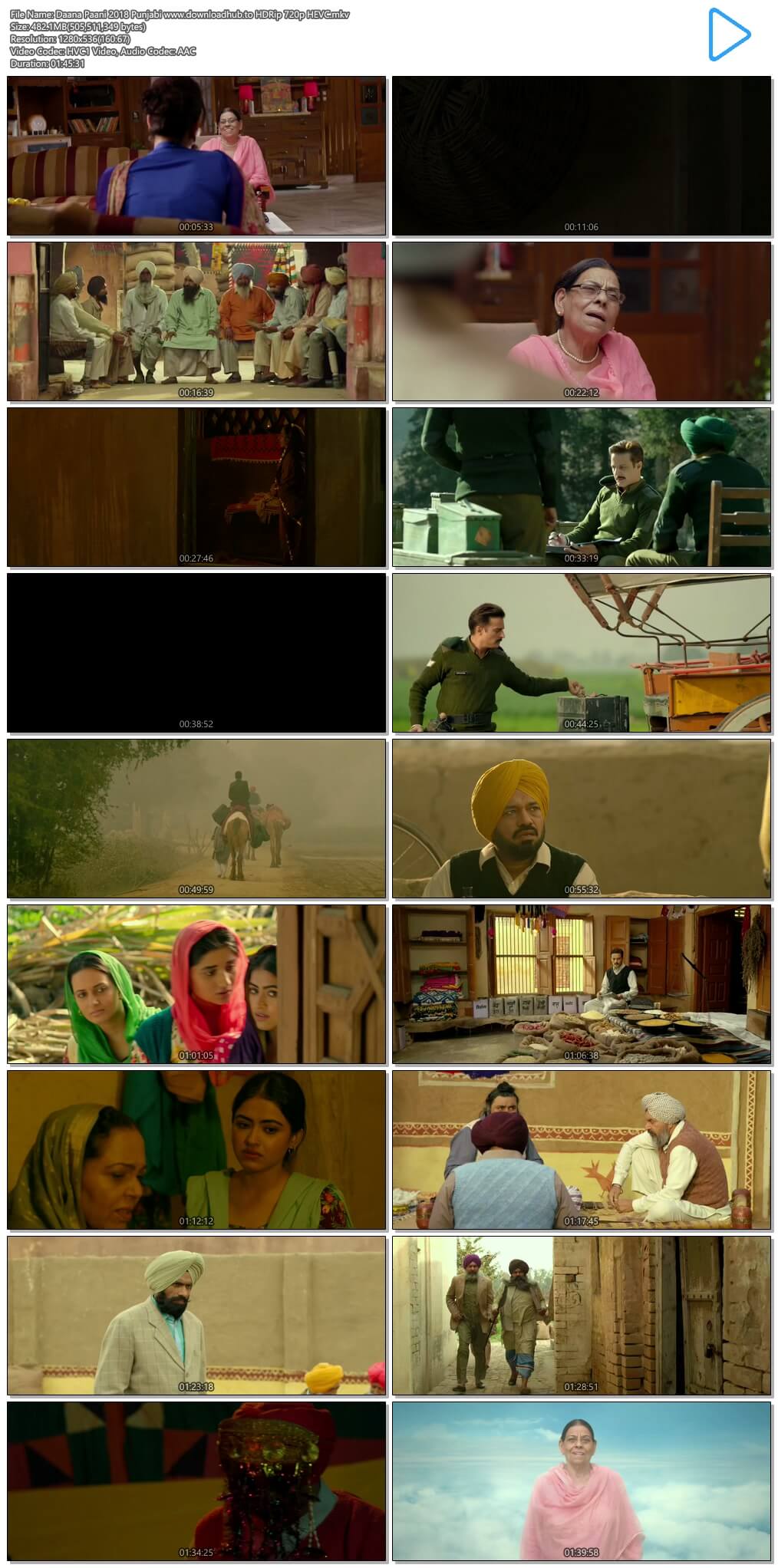 Daana Paani 2018 Punjabi 450MB HDRip 720p HEVC