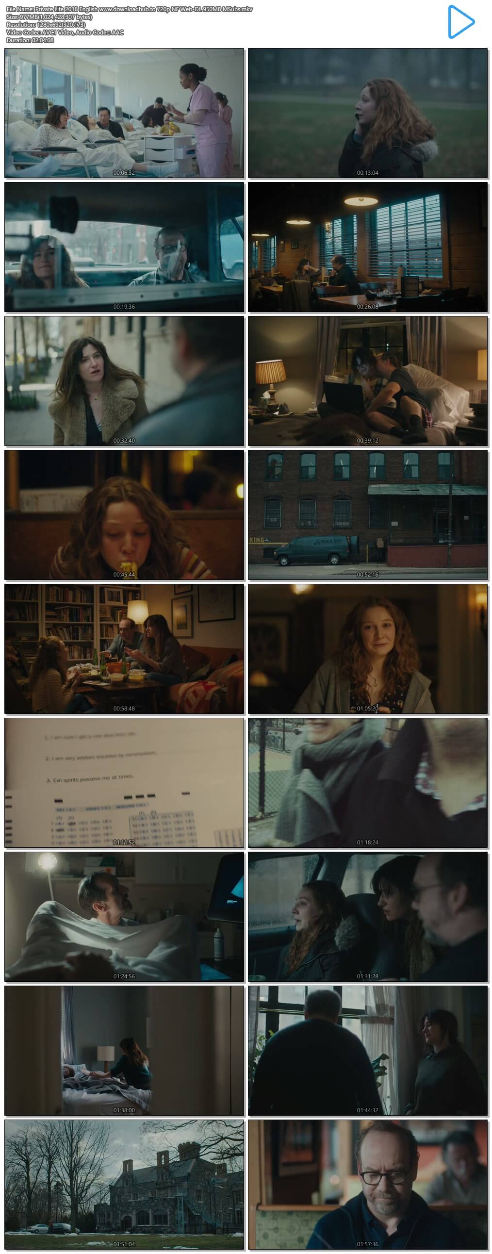 Private Life 2018 English 720p NF Web-DL 950MB MSubs