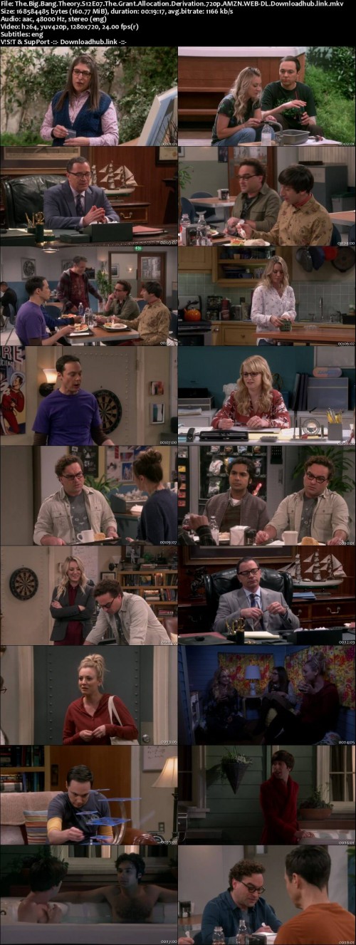The.Big.Bang.Theory.S12E07.The.Grant.Allocation.Derivation.720p.AMZN.WEB-DL.Downloadhub.link_s.jpg