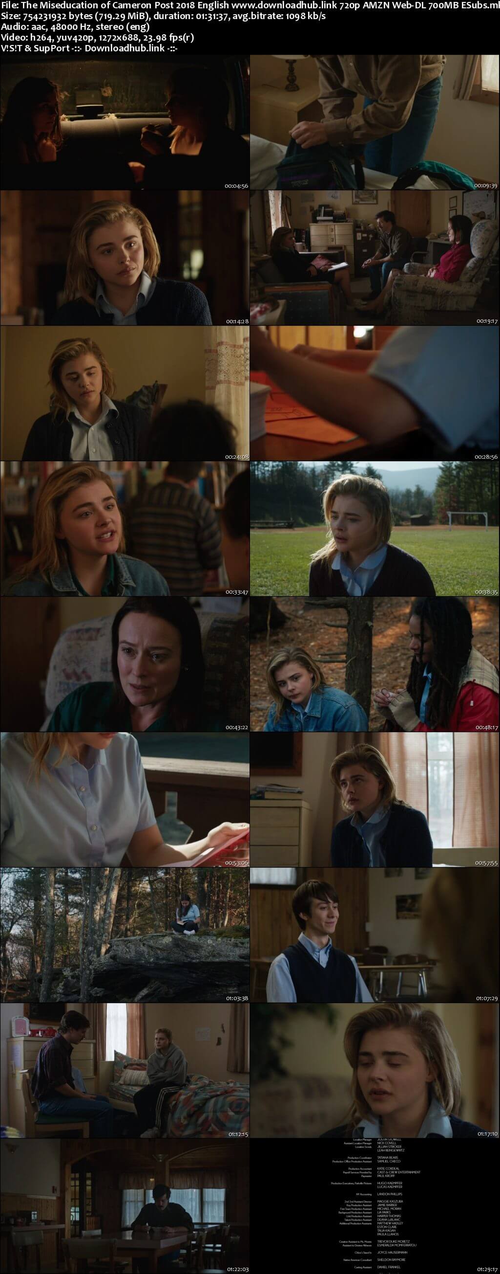 The Miseducation of Cameron Post 2018 English 720p AMZN Web-DL 700MB ESubs