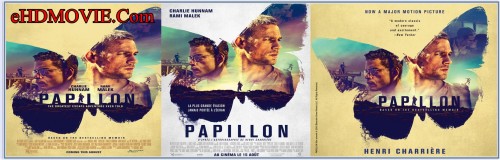 Papillon-2017.jpg
