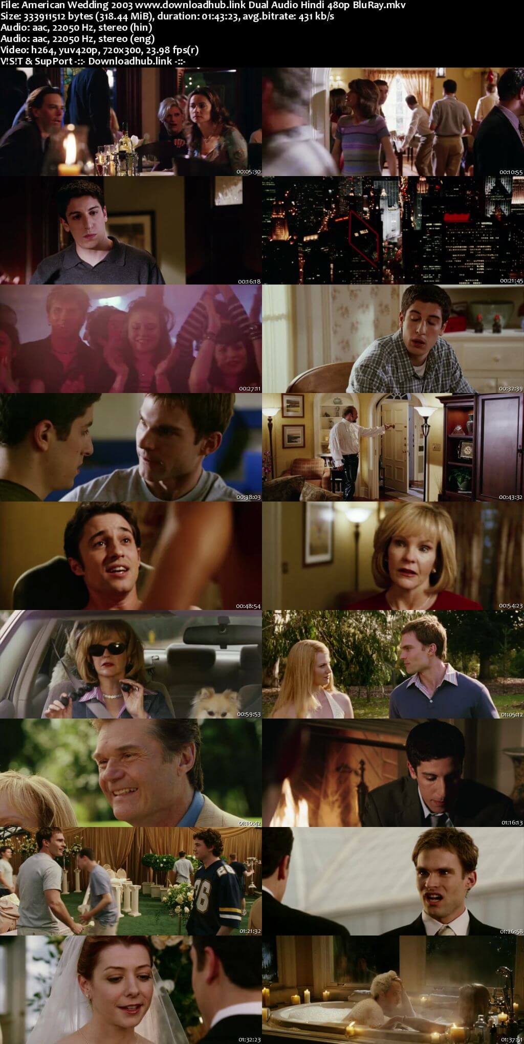 American Wedding 2003 Hindi Dual Audio 300MB BluRay 480p ESubs
