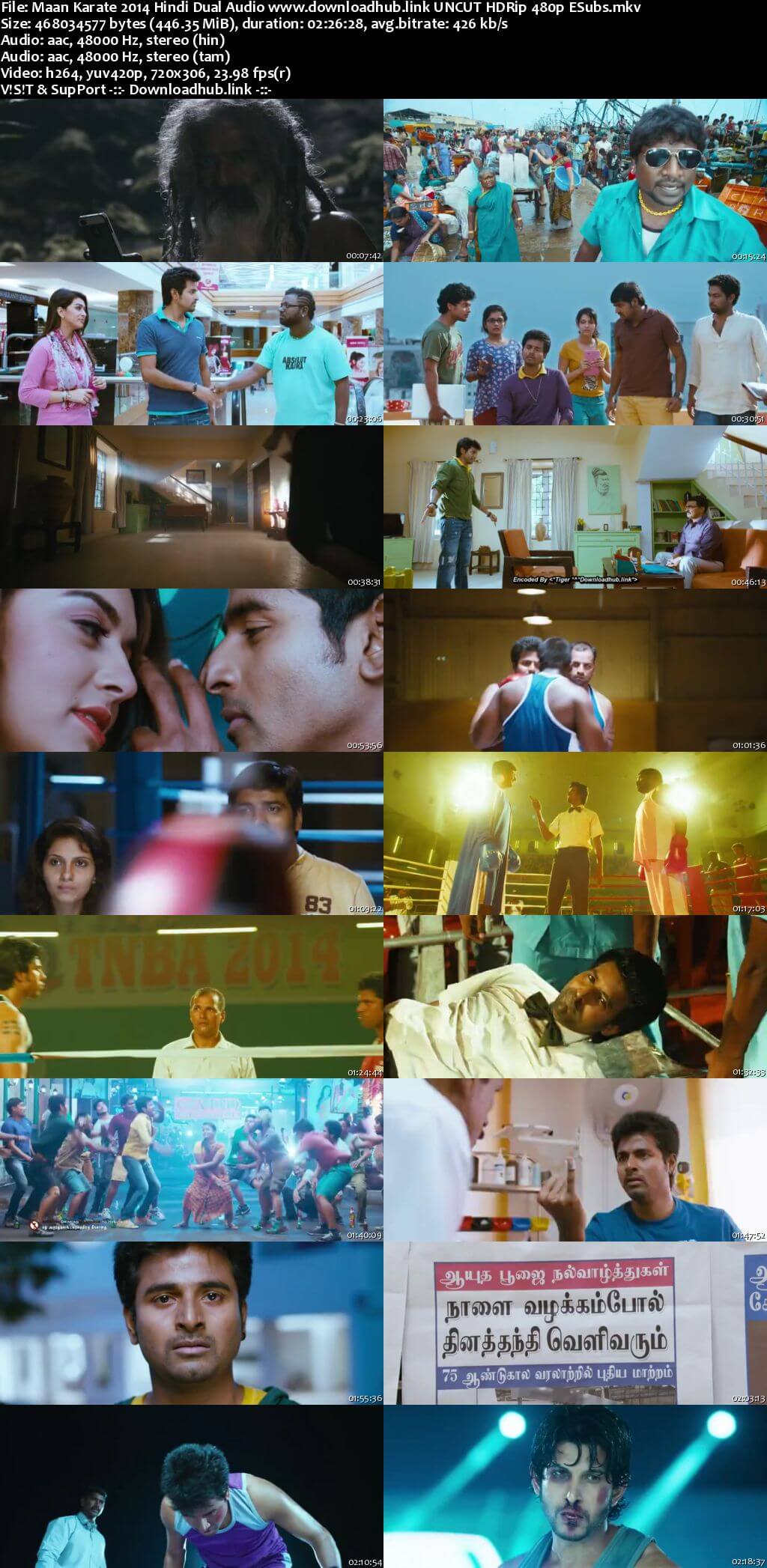 Maan Karate 2014 Hindi Dual Audio 450MB UNCUT HDRip 480p ESubs