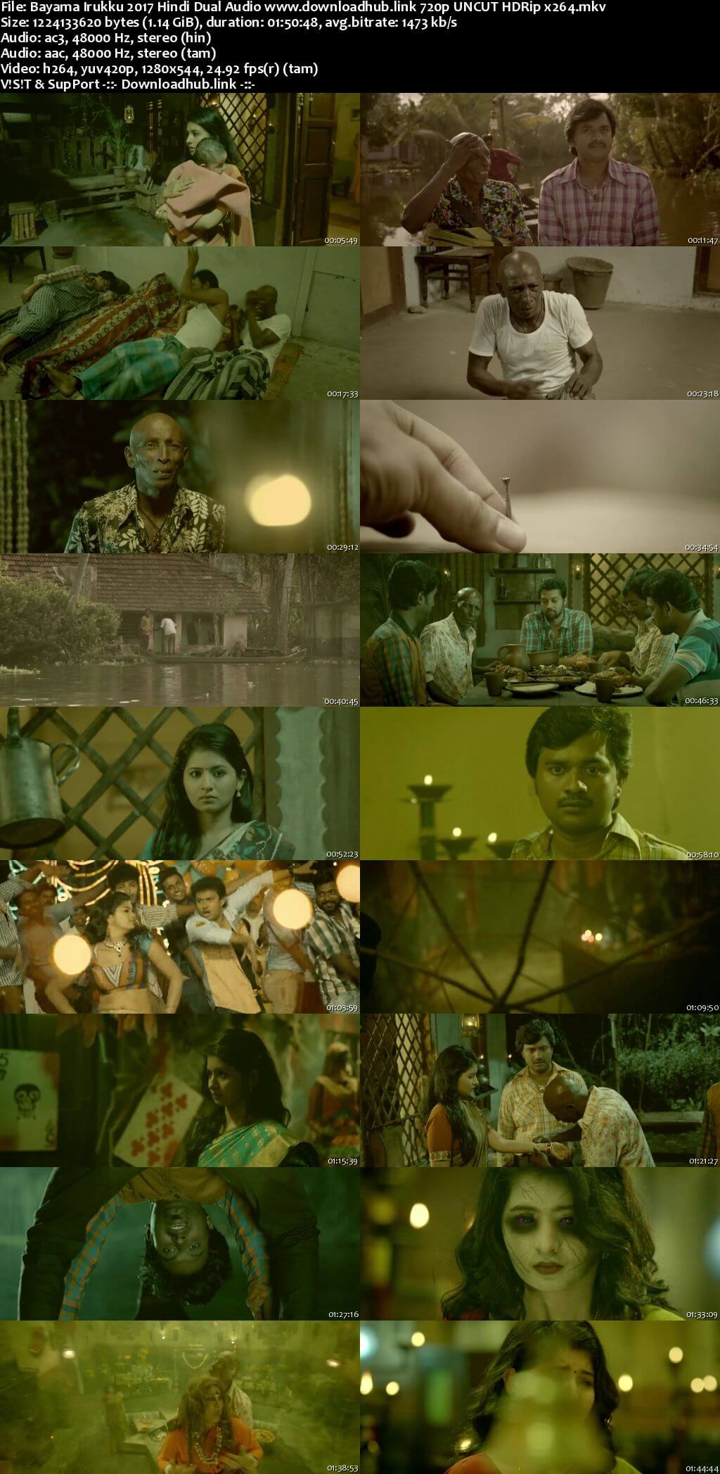 Bayama Irukku 2017 Hindi Dual Audio 720p UNCUT HDRip x264