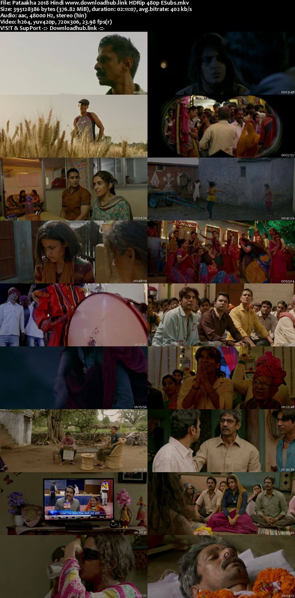 Pataakha 2018 Hindi 350MB HDRip 480p ESubs