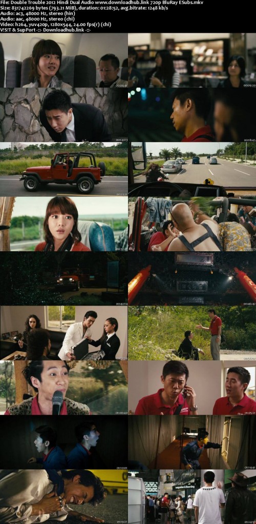 Double-Trouble-2012-Hindi-Dual-Audio-www.downloadhub.link-720p-BluRay-ESubs_s.jpg