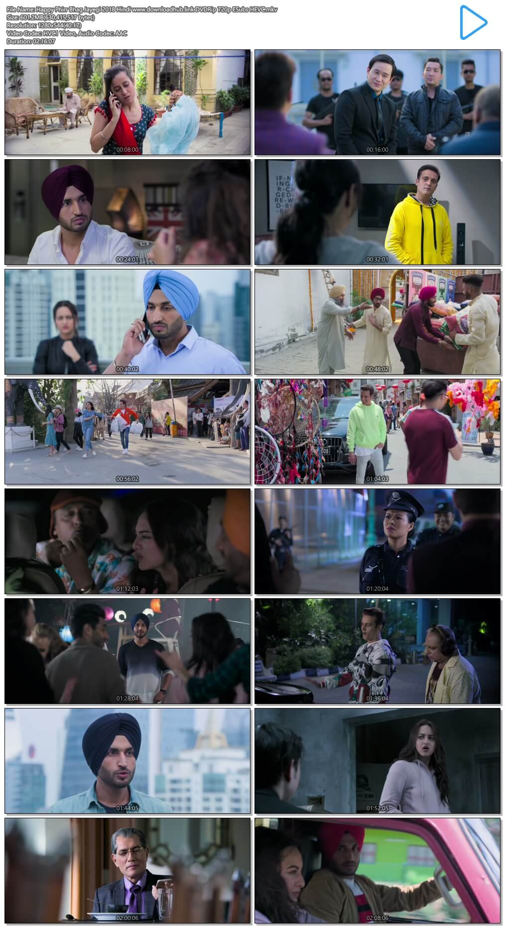 Happy Phirr Bhag Jayegi 2018 Hindi 600MB DVDRip 720p ESubs HEVC